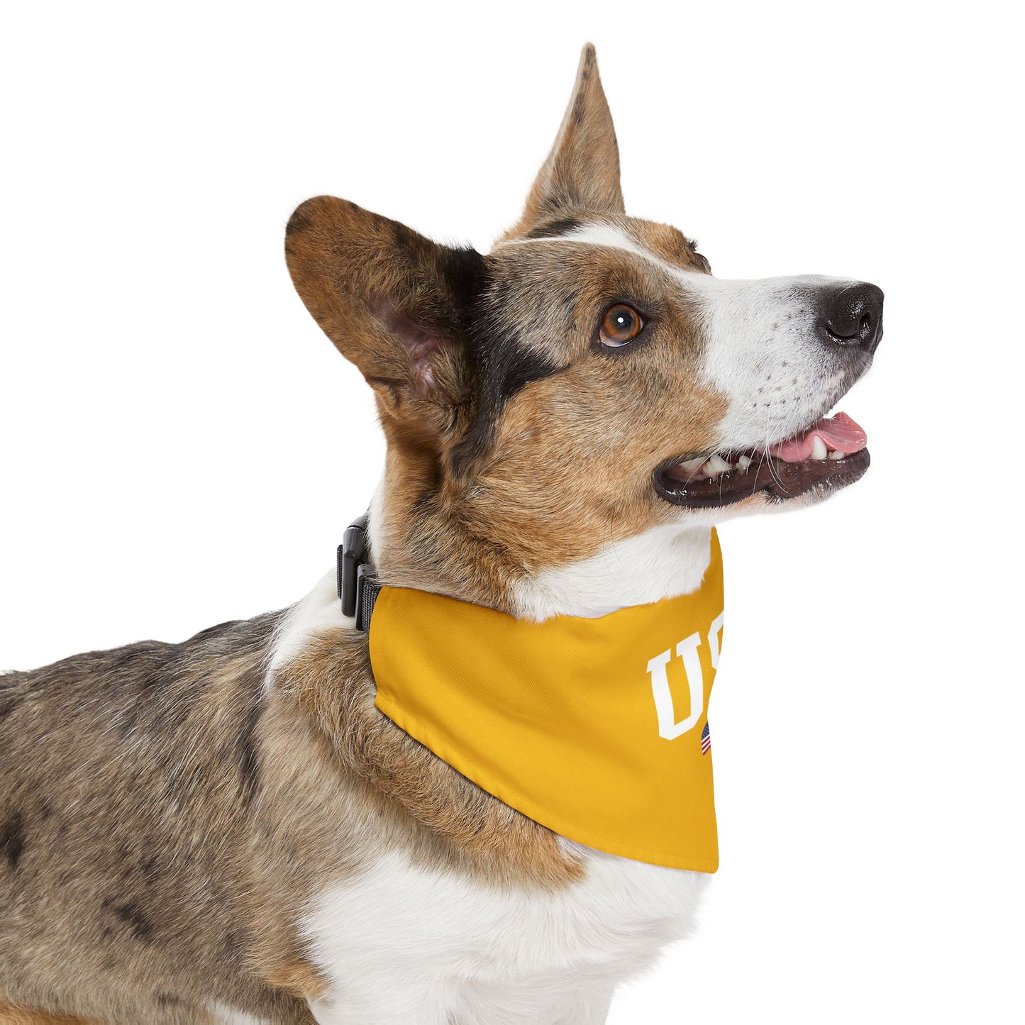 Princess Grace  TEAM USA  Pet Bandana Collar