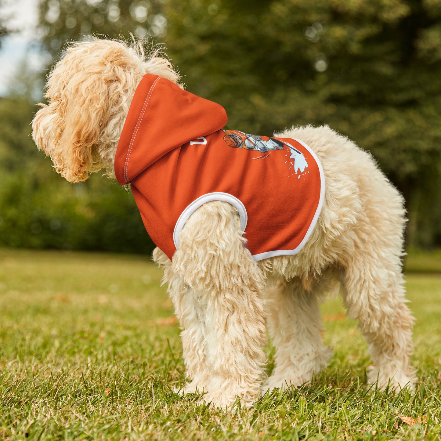 Princess Grace  TEAM USA  Pet Hoodie