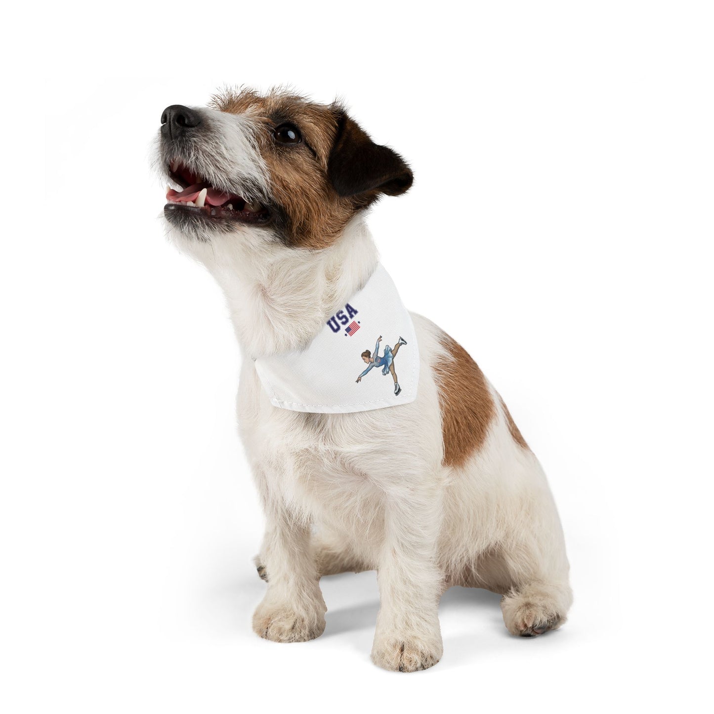 Princess Grace  TEAM USA  Pet Bandana Collar