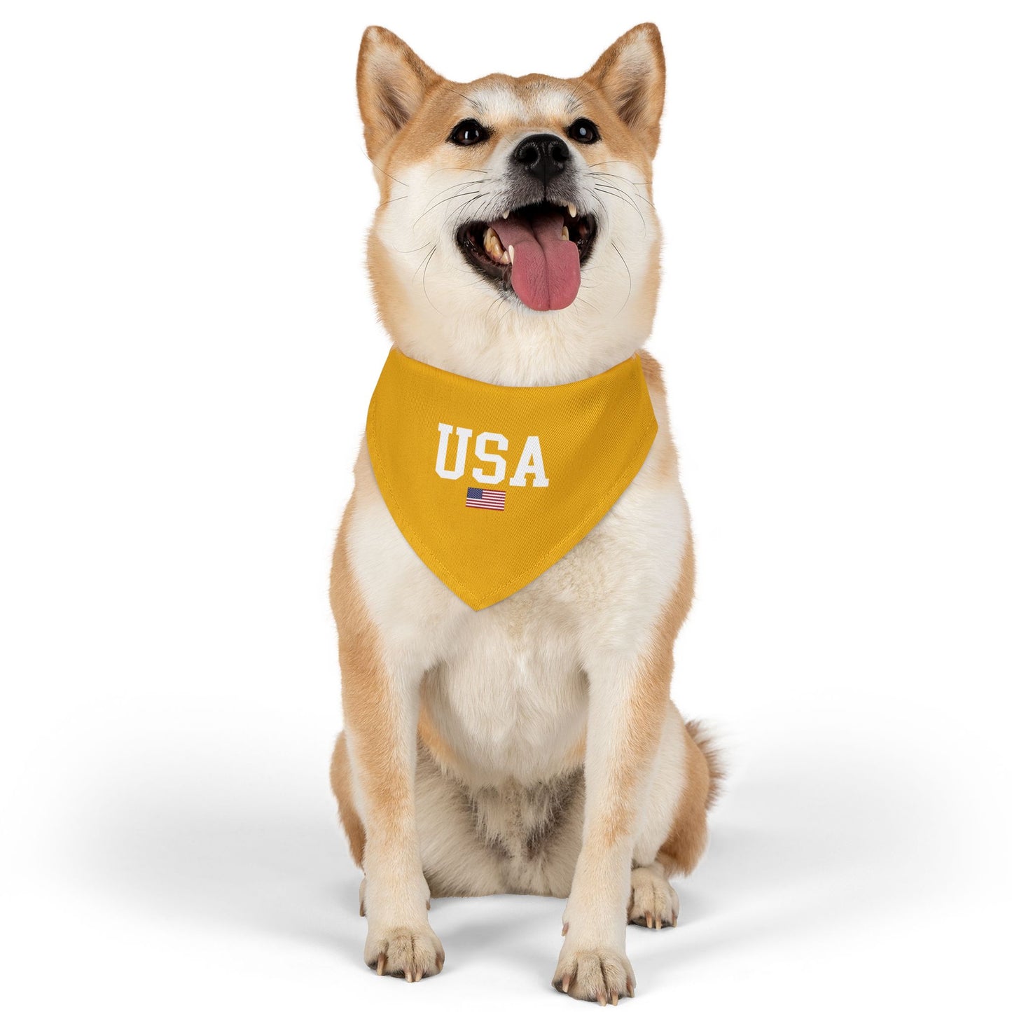 Princess Grace  TEAM USA  Pet Bandana Collar