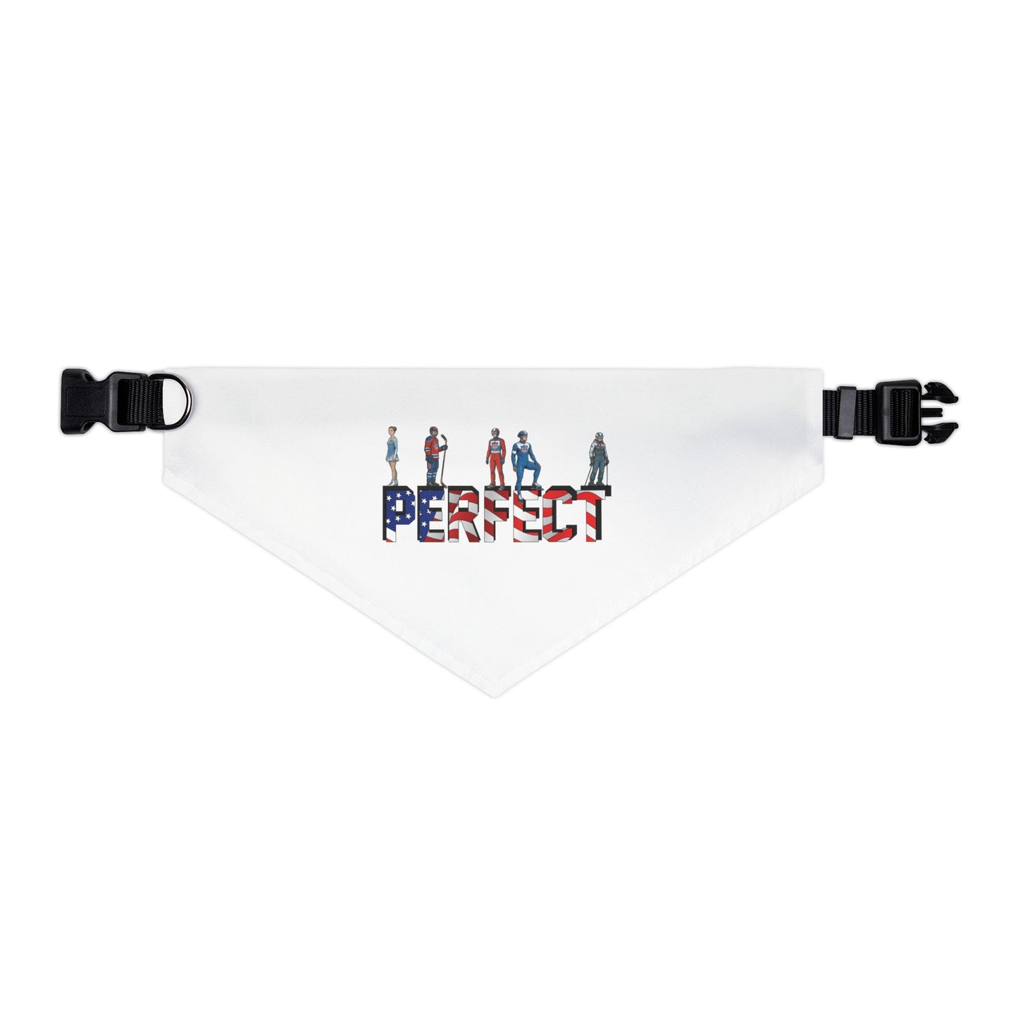 Princess Grace  TEAM USA  Pet Bandana Collar