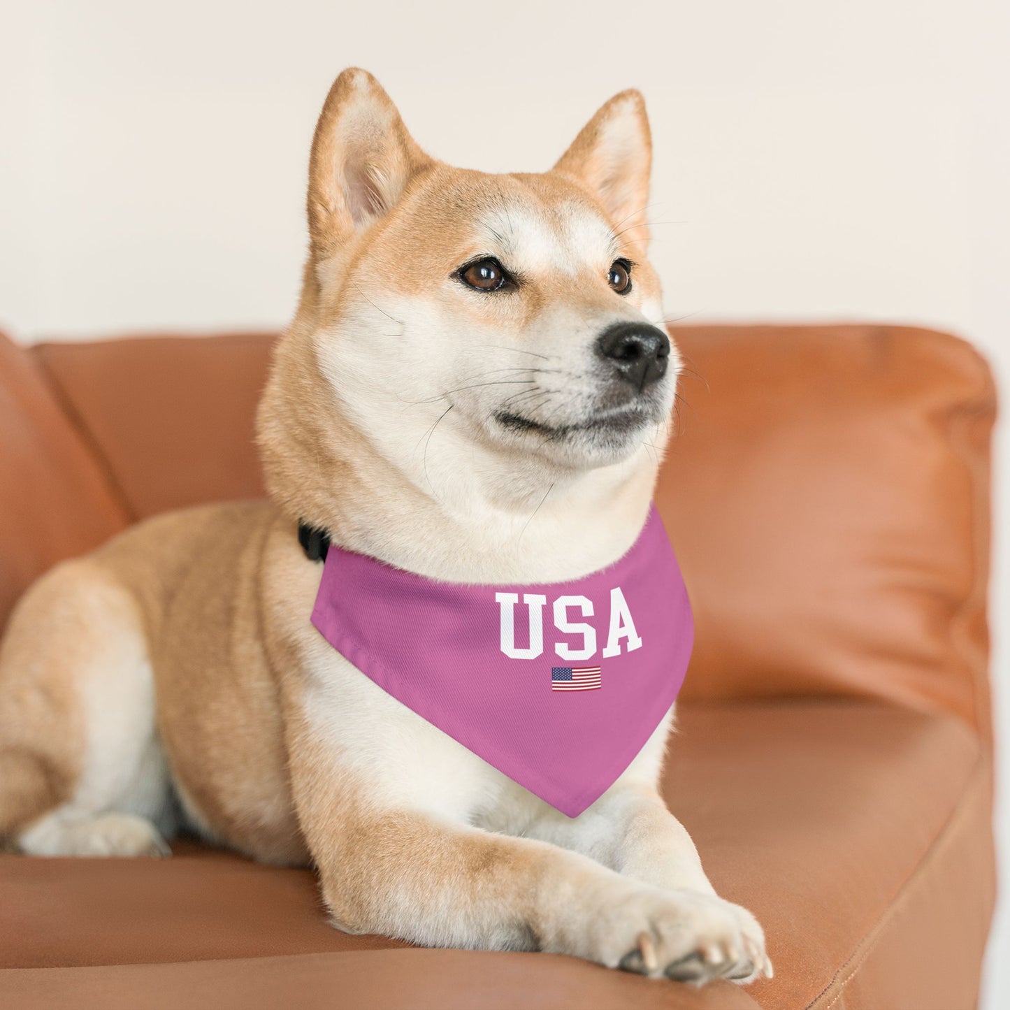Princess Grace  TEAM USA  Pet Bandana Collar