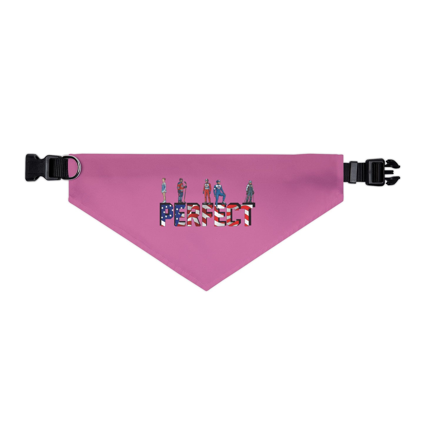 Princess Grace  TEAM USA  Pet Bandana Collar