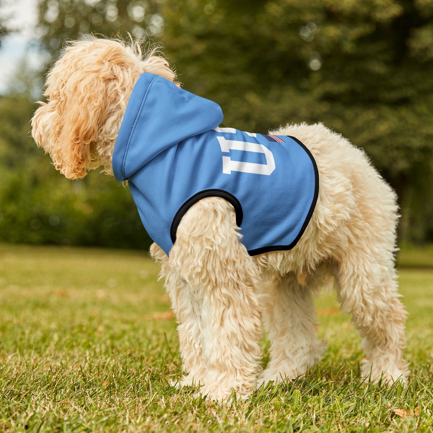 Princess Grace  TEAM USA  Pet Hoodie