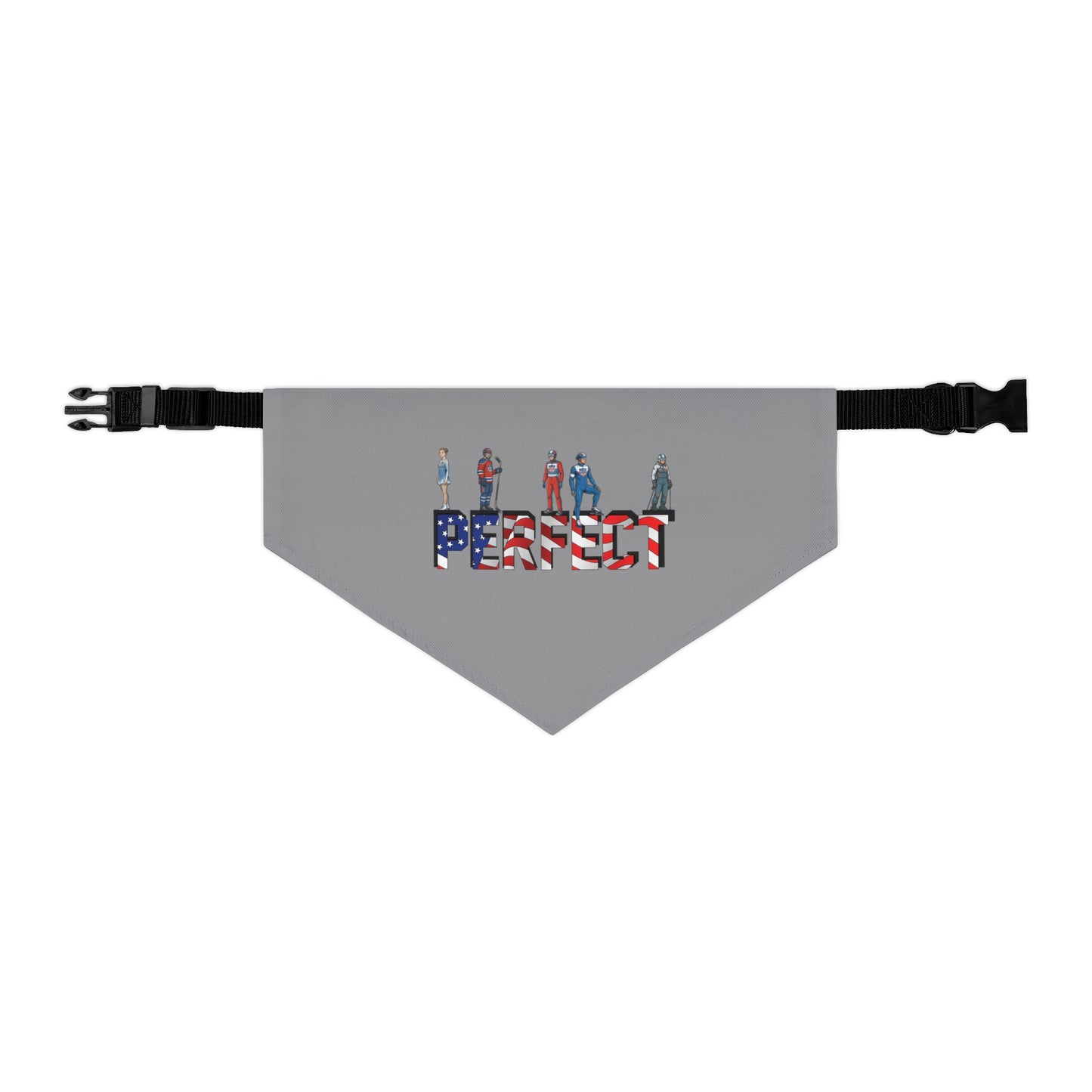 Princess Grace  TEAM USA  Pet Bandana Collar
