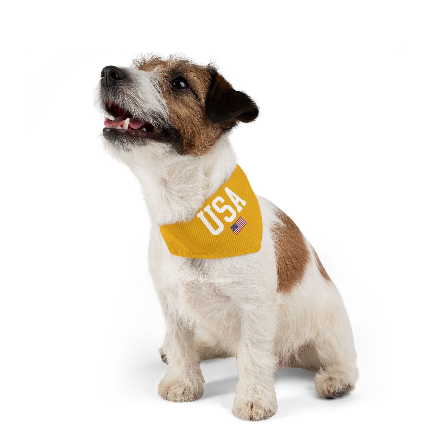 Princess Grace  TEAM USA  Pet Bandana Collar