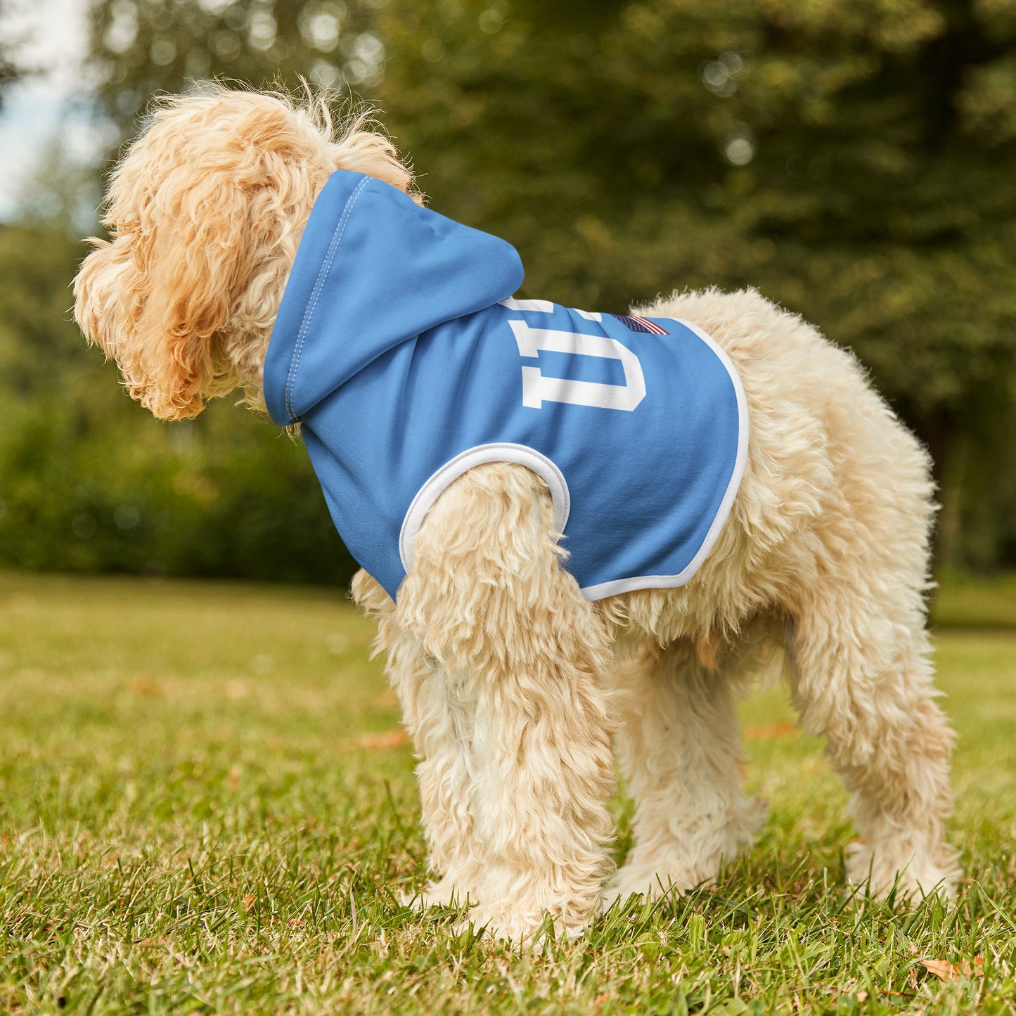 Princess Grace  TEAM USA  Pet Hoodie