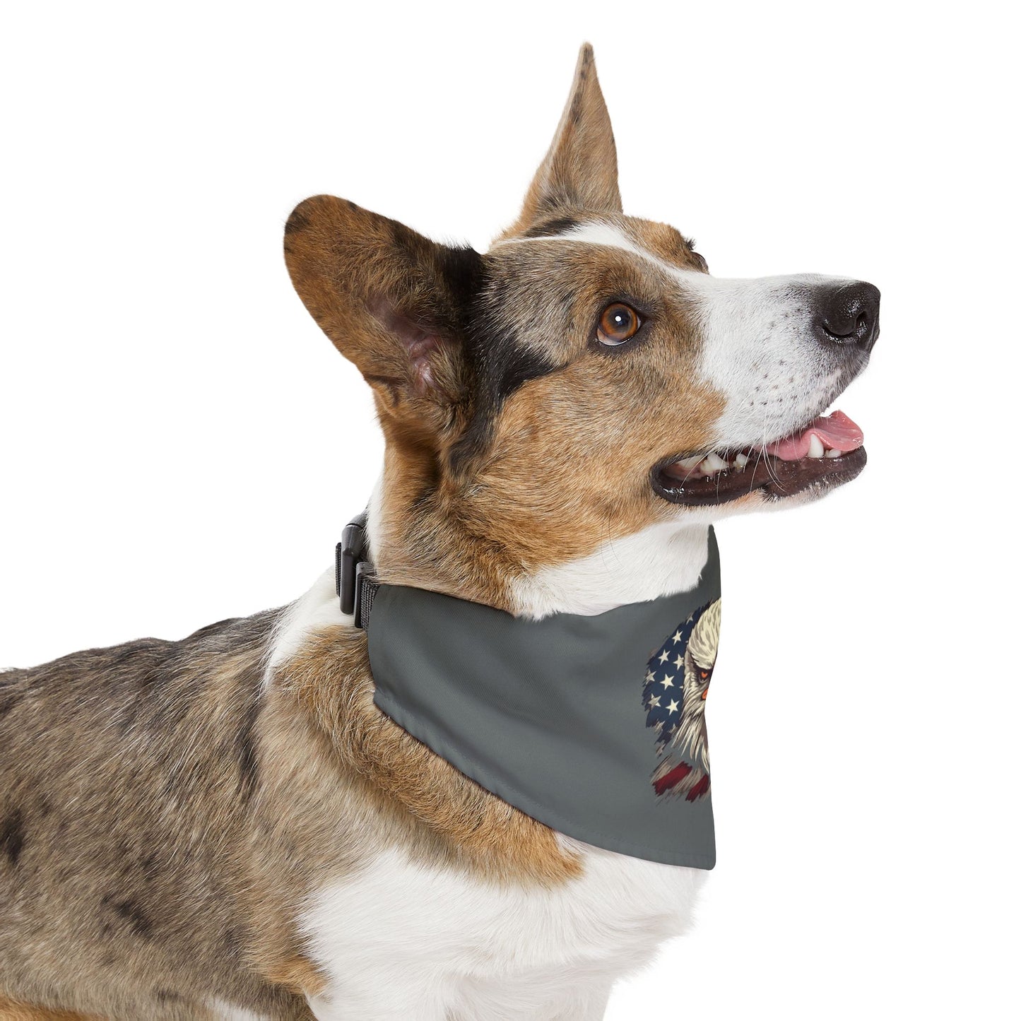 Princess Grace  Patriotic Eagle Pet Bandana Collar Perfect for Independence Day & All  American Celebrations