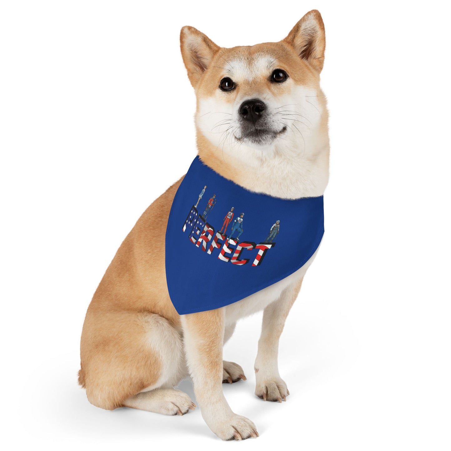 Princess Grace  TEAM USA  Pet Bandana Collar