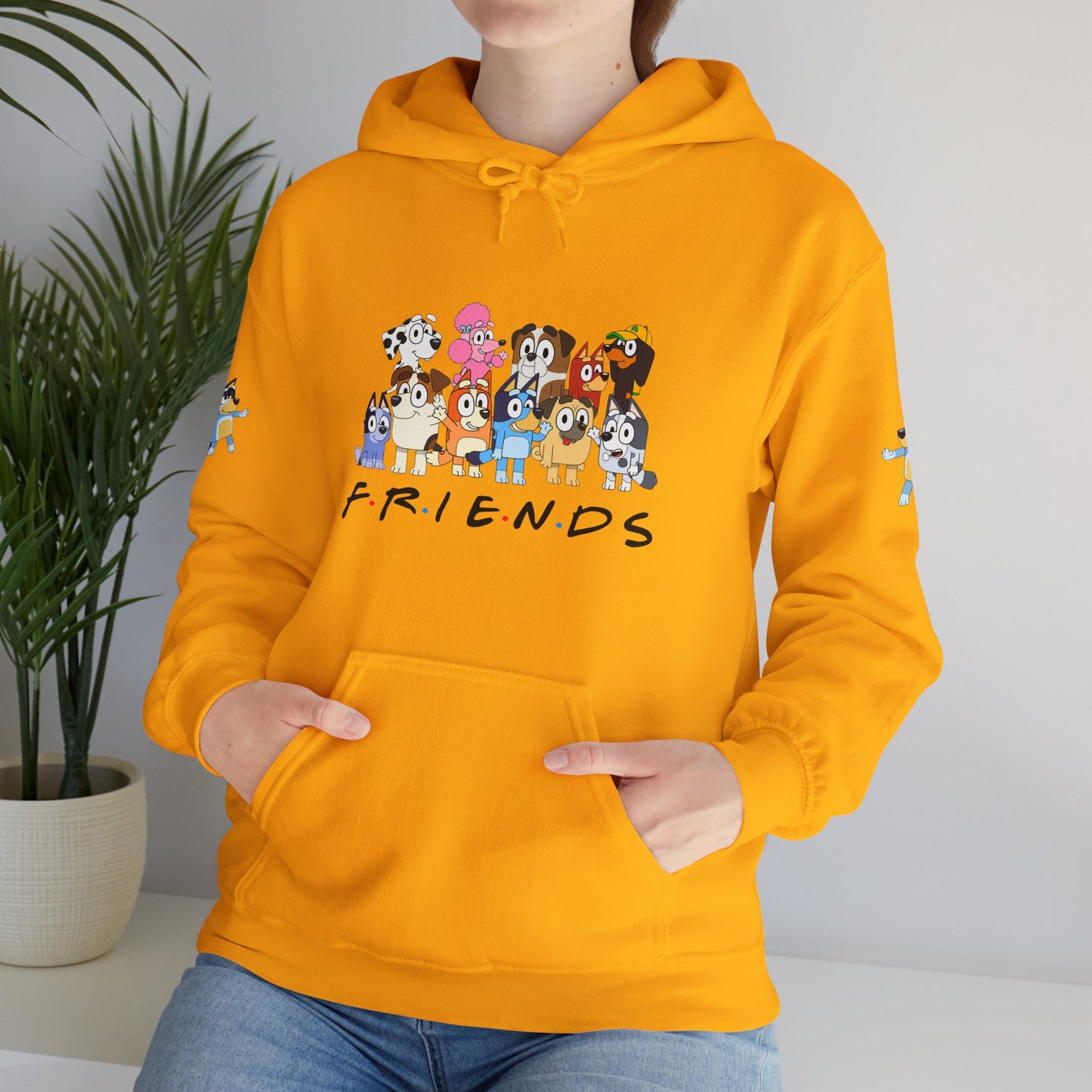 Princess Grace  Bluey  Unisex Heavy  Blend  Hooded Sweatshirt  'Friends' Cartoon Design