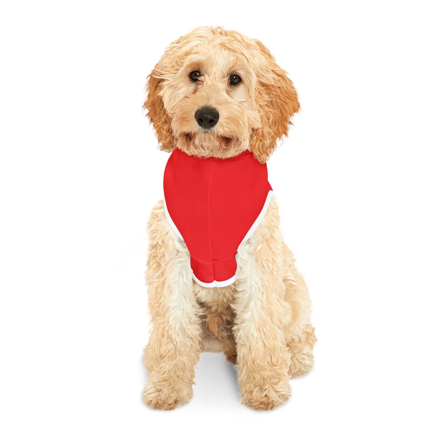 Princess Grace  TEAM USA  Pet Hoodie