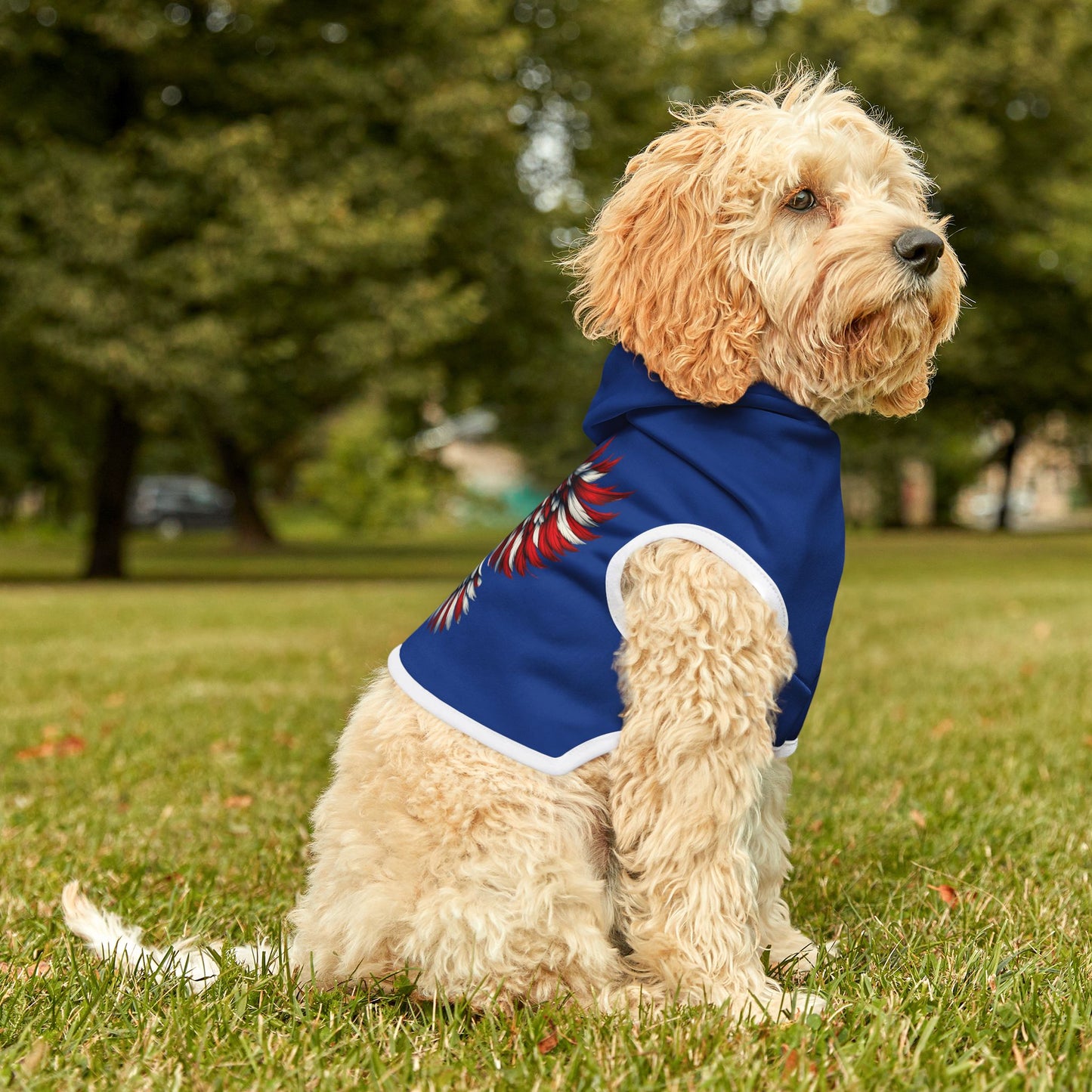 Princess Grace  Patriotic Pet Hoodie with Eagle Design  Perfect for July 4th Celebrations