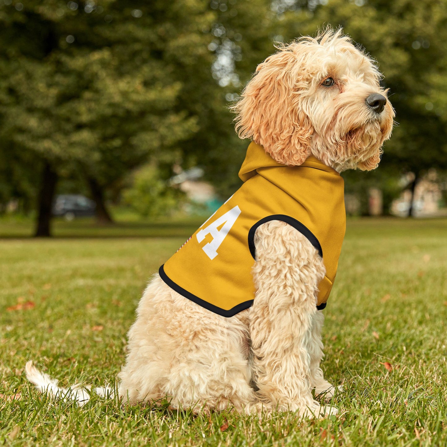Princess Grace  TEAM USA  Pet Hoodie