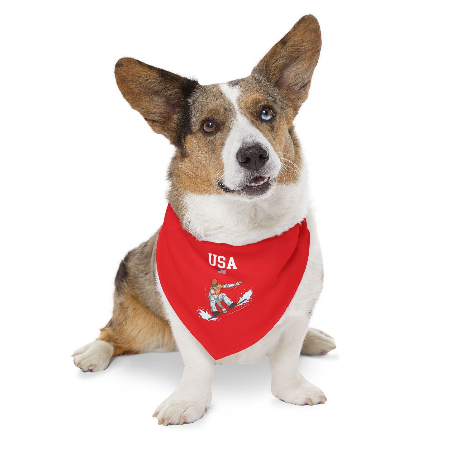 Princess Grace  TEAM USA  Pet Bandana Collar