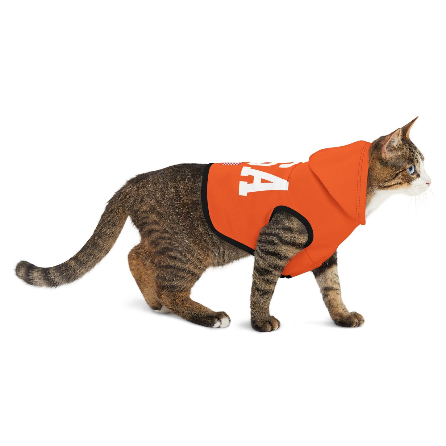 Princess Grace  TEAM USA  Pet Hoodie