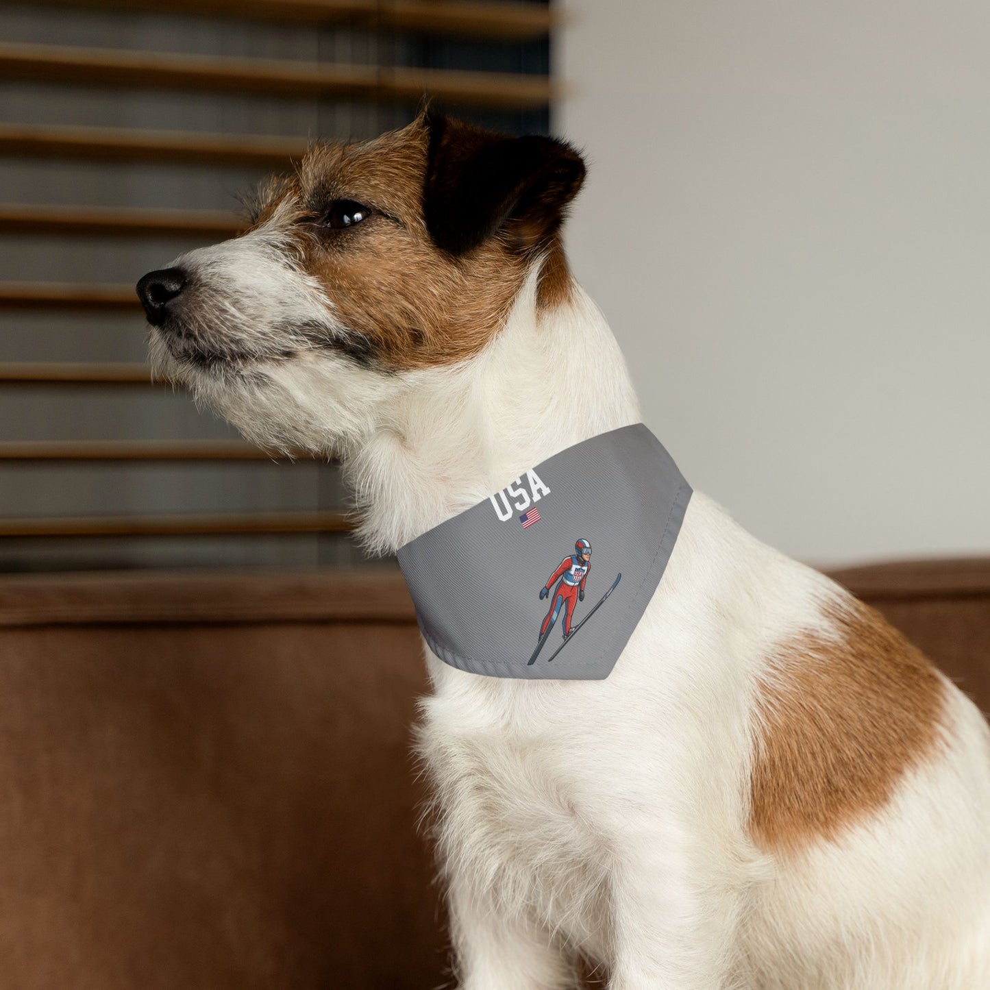 Princess Grace  TEAM USA  Pet Bandana Collar