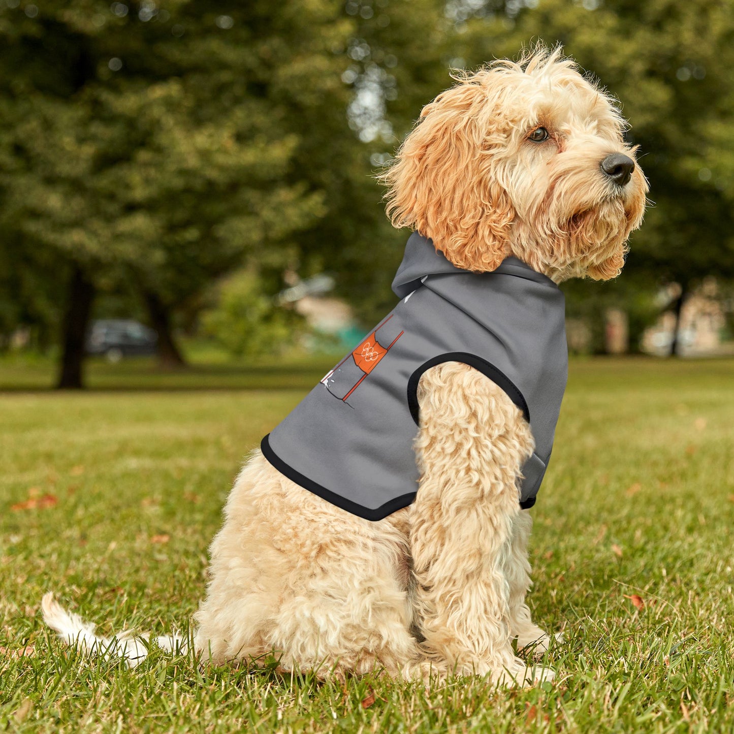 Princess Grace  TEAM USA  Pet Hoodie