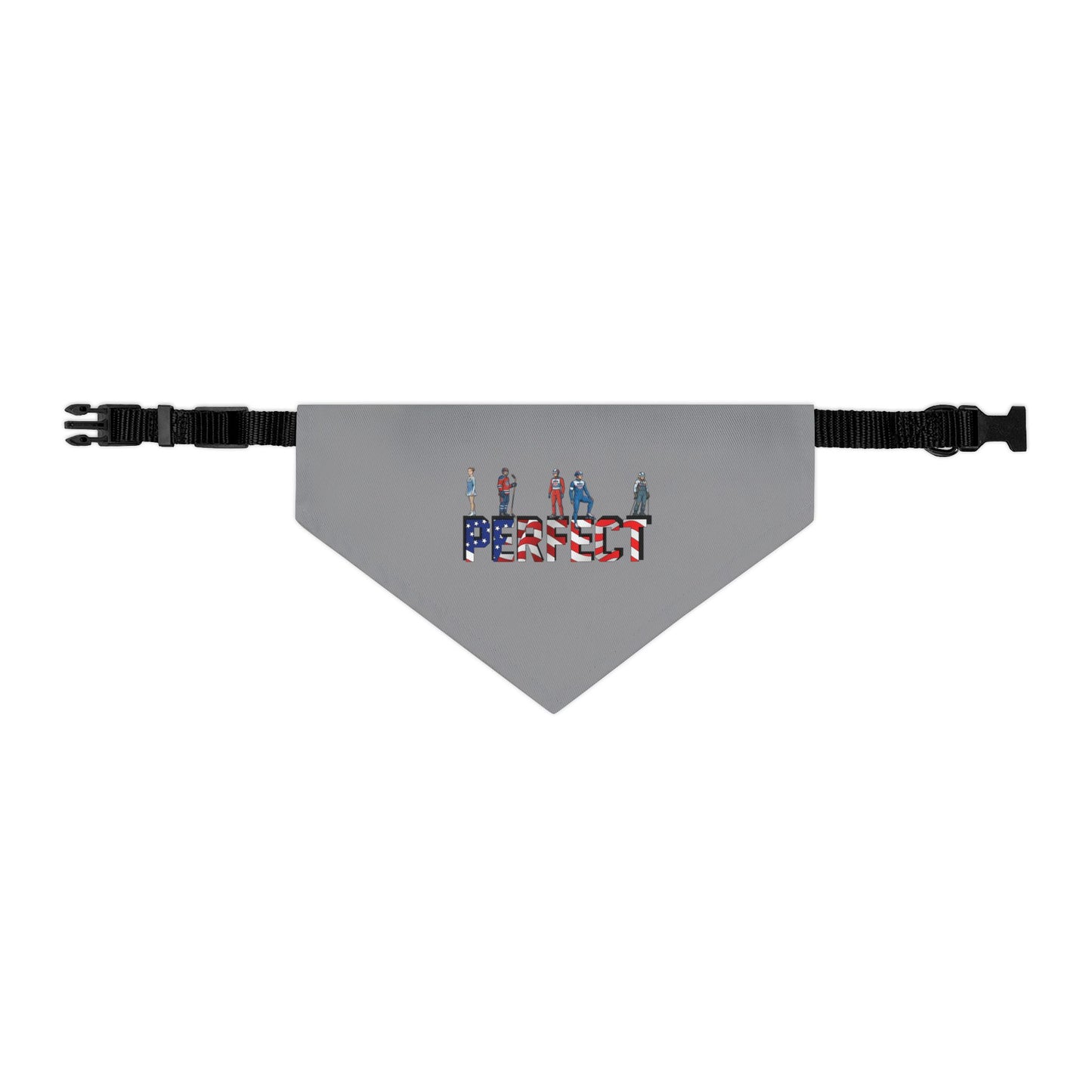 Princess Grace  TEAM USA  Pet Bandana Collar