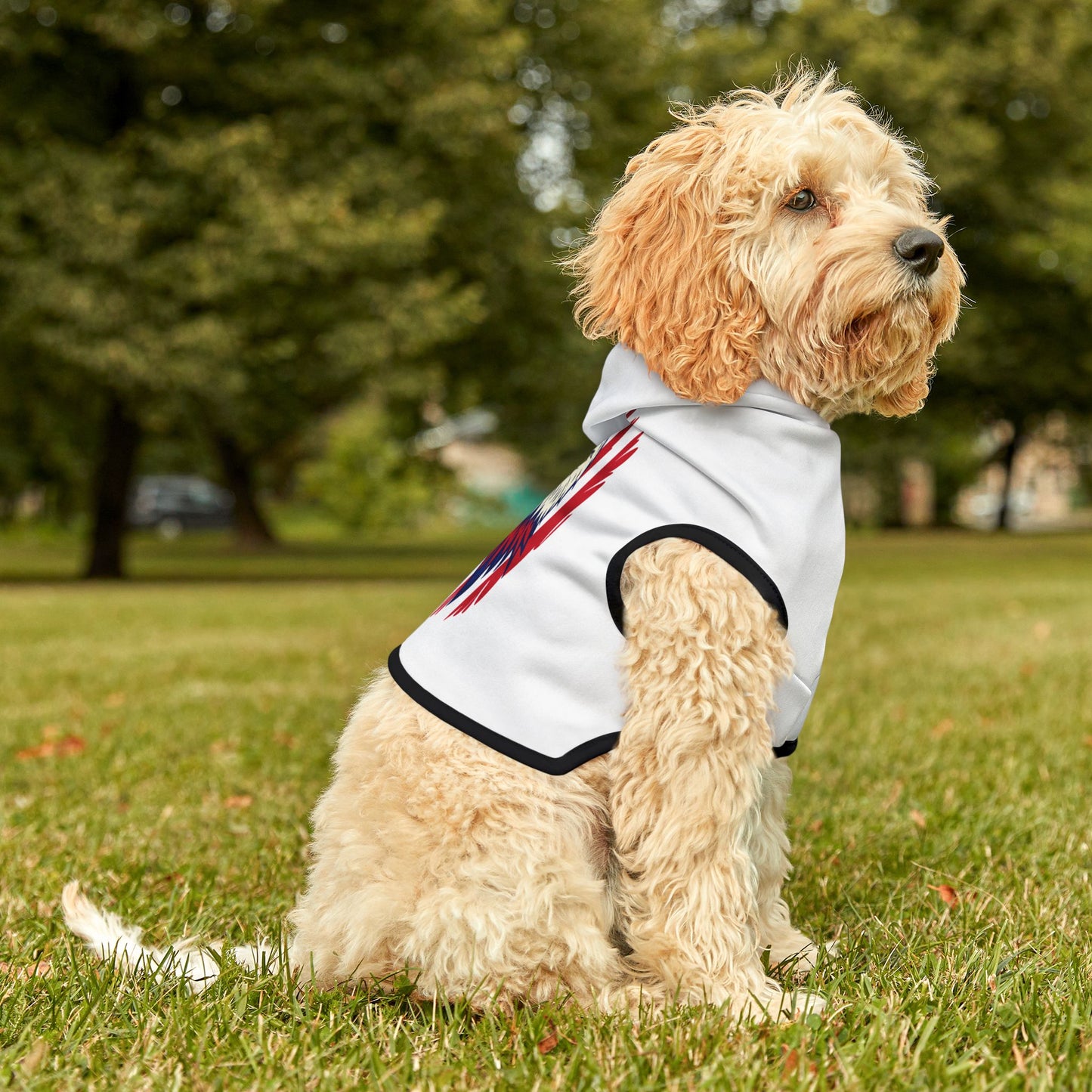 Princess Grace  Patriotic Eagle Pet Hoodie USA Flag Design for Cats and Dogs