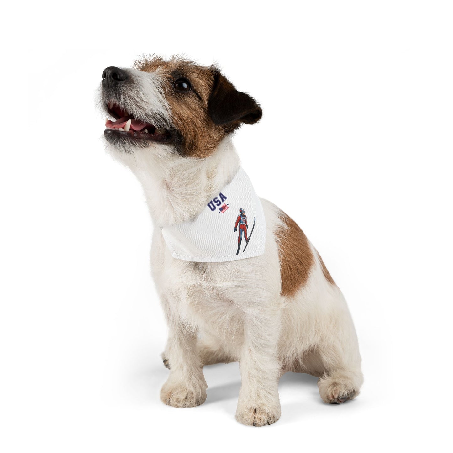 Princess Grace  TEAM USA  Pet Bandana Collar