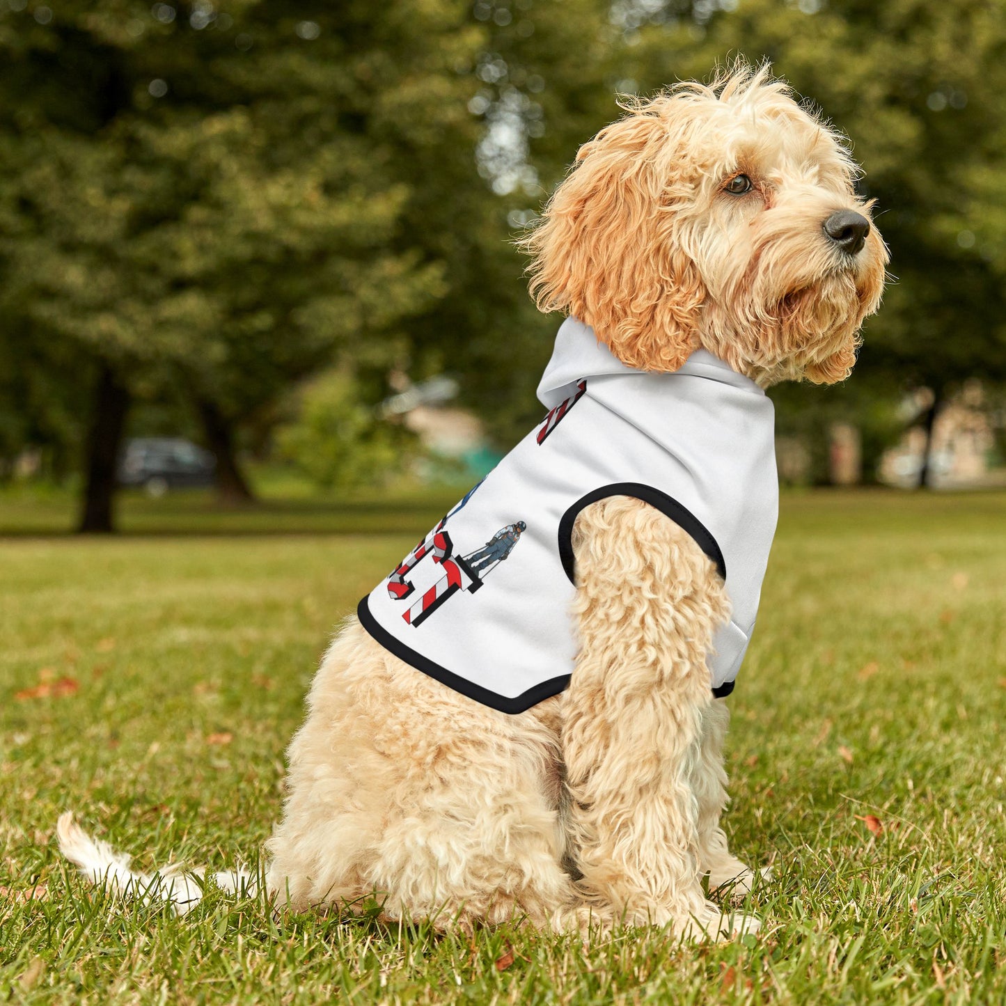 Princess Grace  TEAM USA  Pet Hoodie