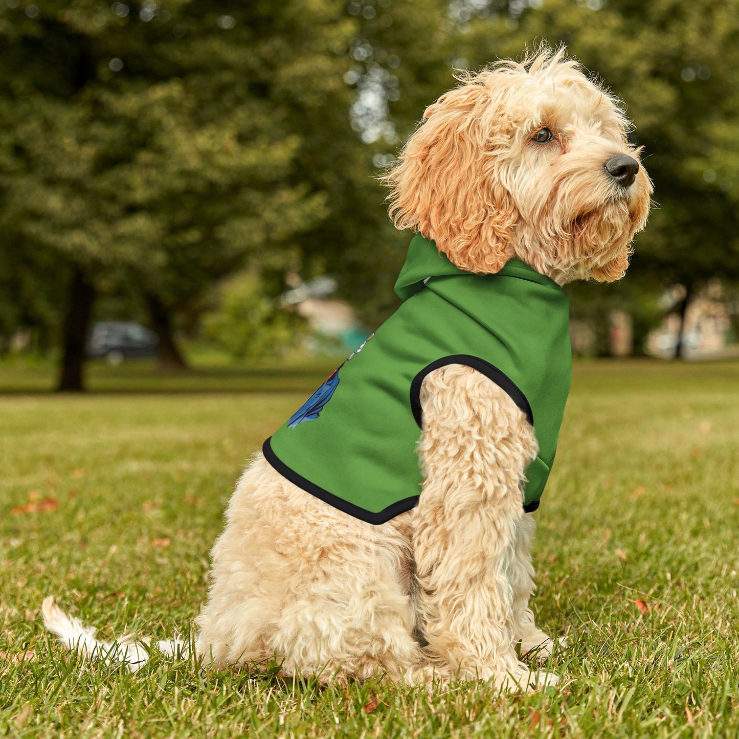 Princess Grace  TEAM USA  Pet Hoodie