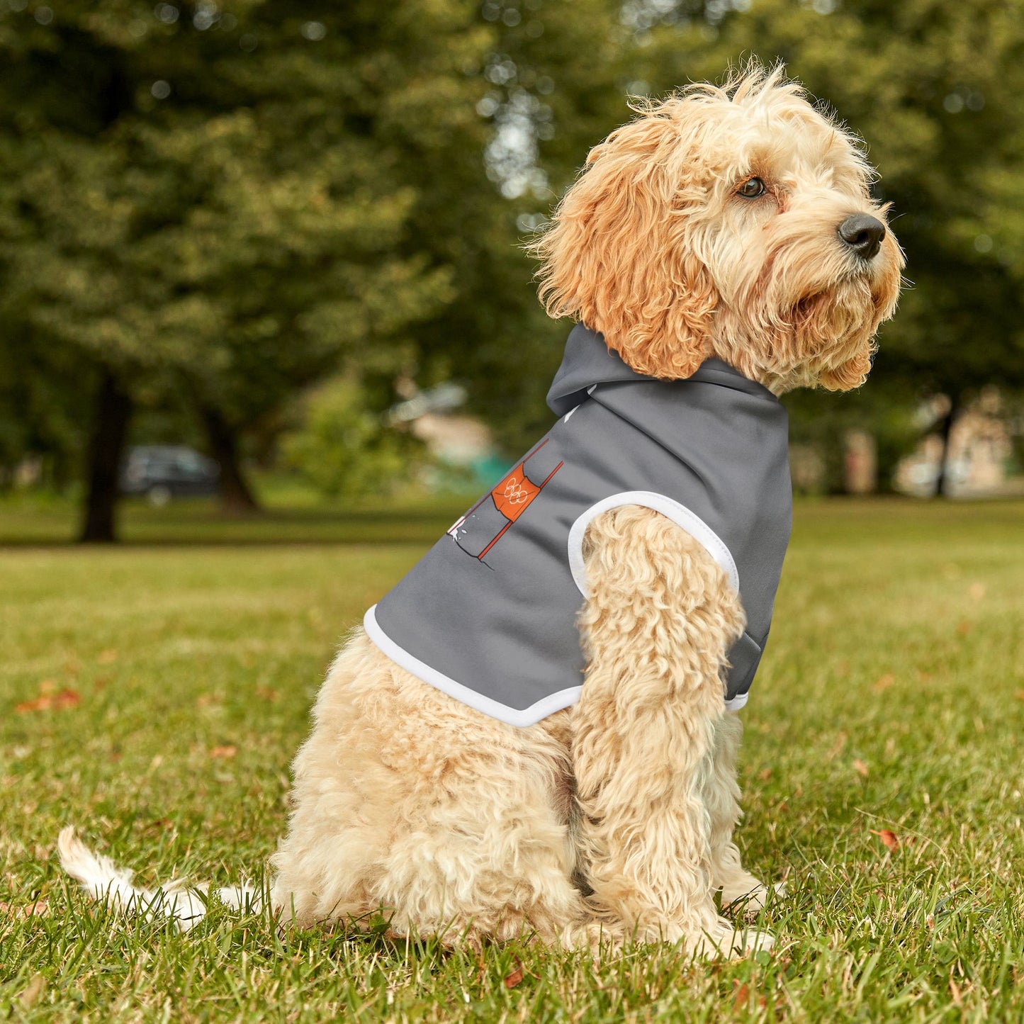 Princess Grace  TEAM USA  Pet Hoodie