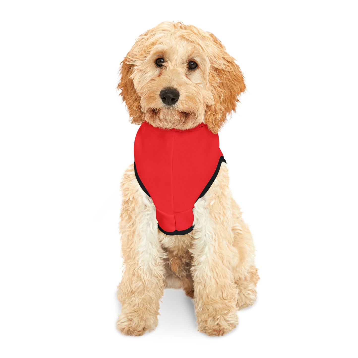 Princess Grace  TEAM USA  Pet Hoodie