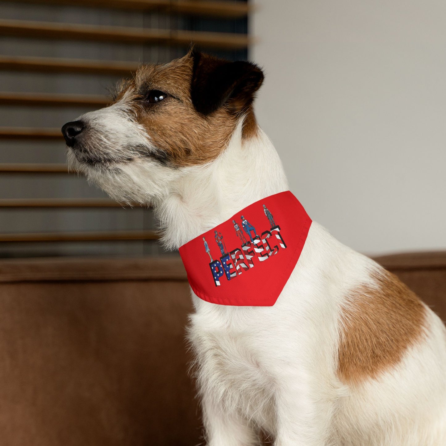 Princess Grace  TEAM USA  Pet Bandana Collar