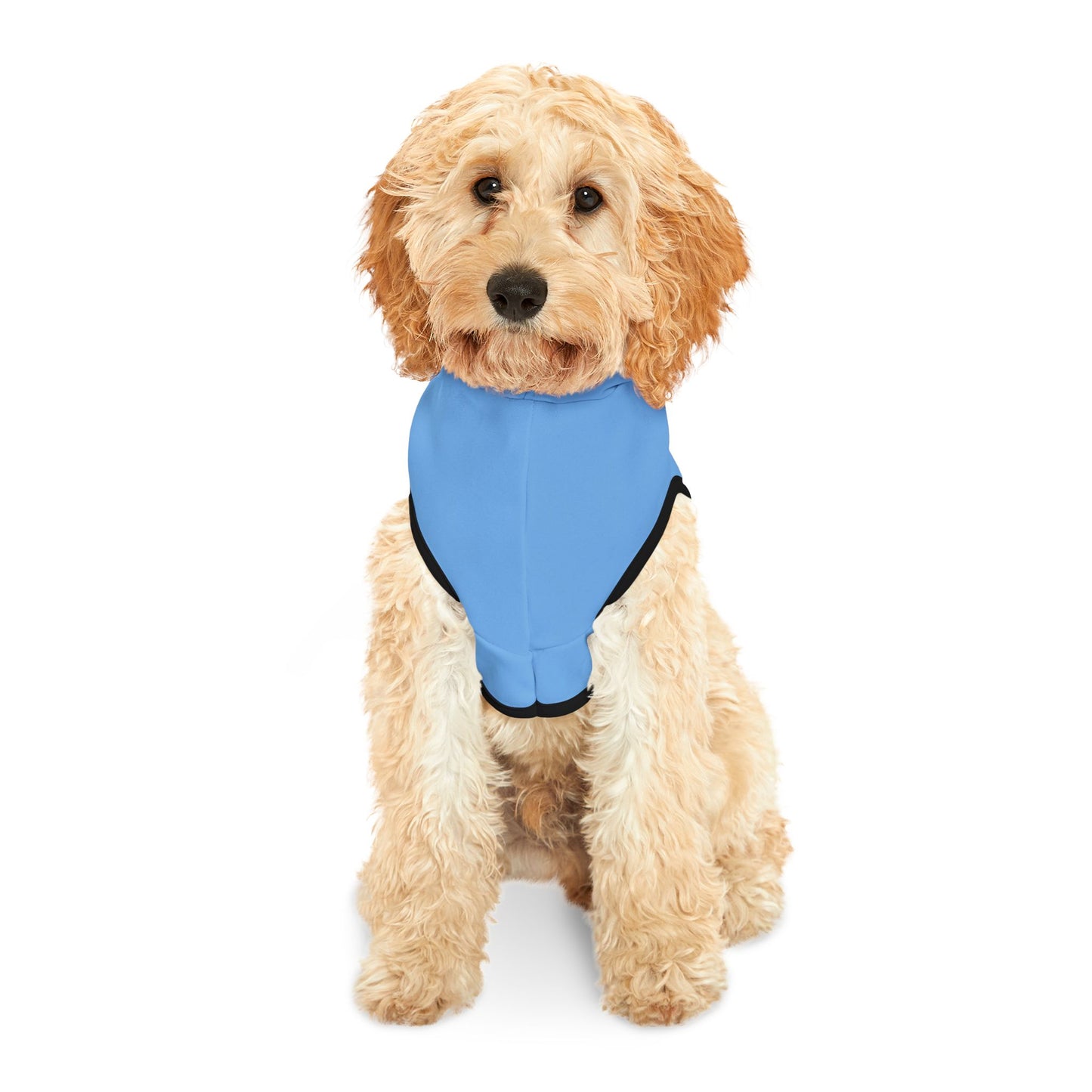 Princess Grace  Patriotic Eagle Pet Hoodie  Cozy Blue Dog Hoodie for Independence Day