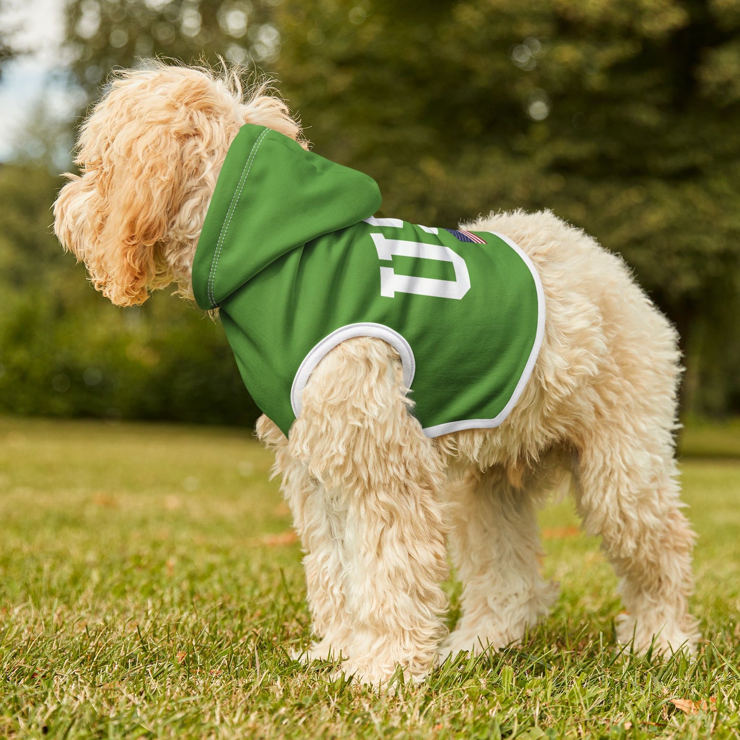 Princess Grace  TEAM USA  Pet Hoodie
