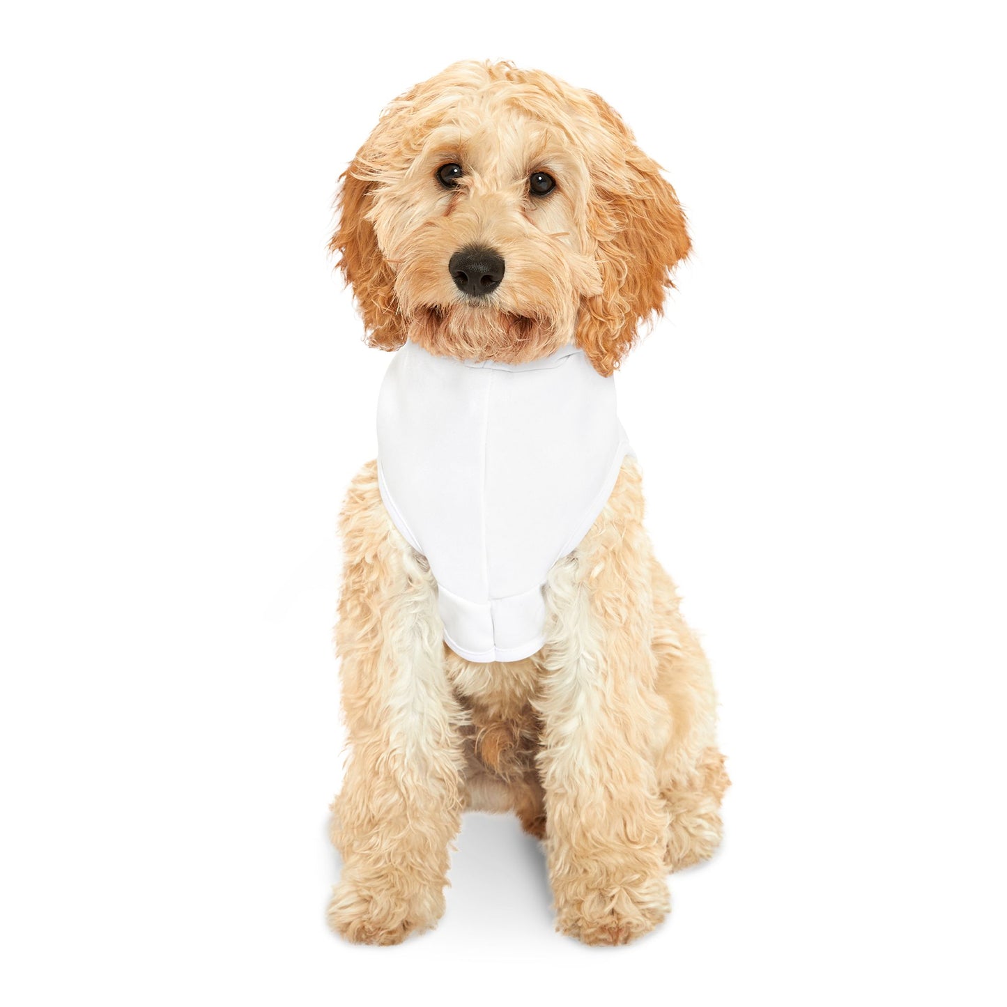 Princess Grace  Patriotic Eagle Pet Hoodie for Dogs  Stylish Independence Day Apparel