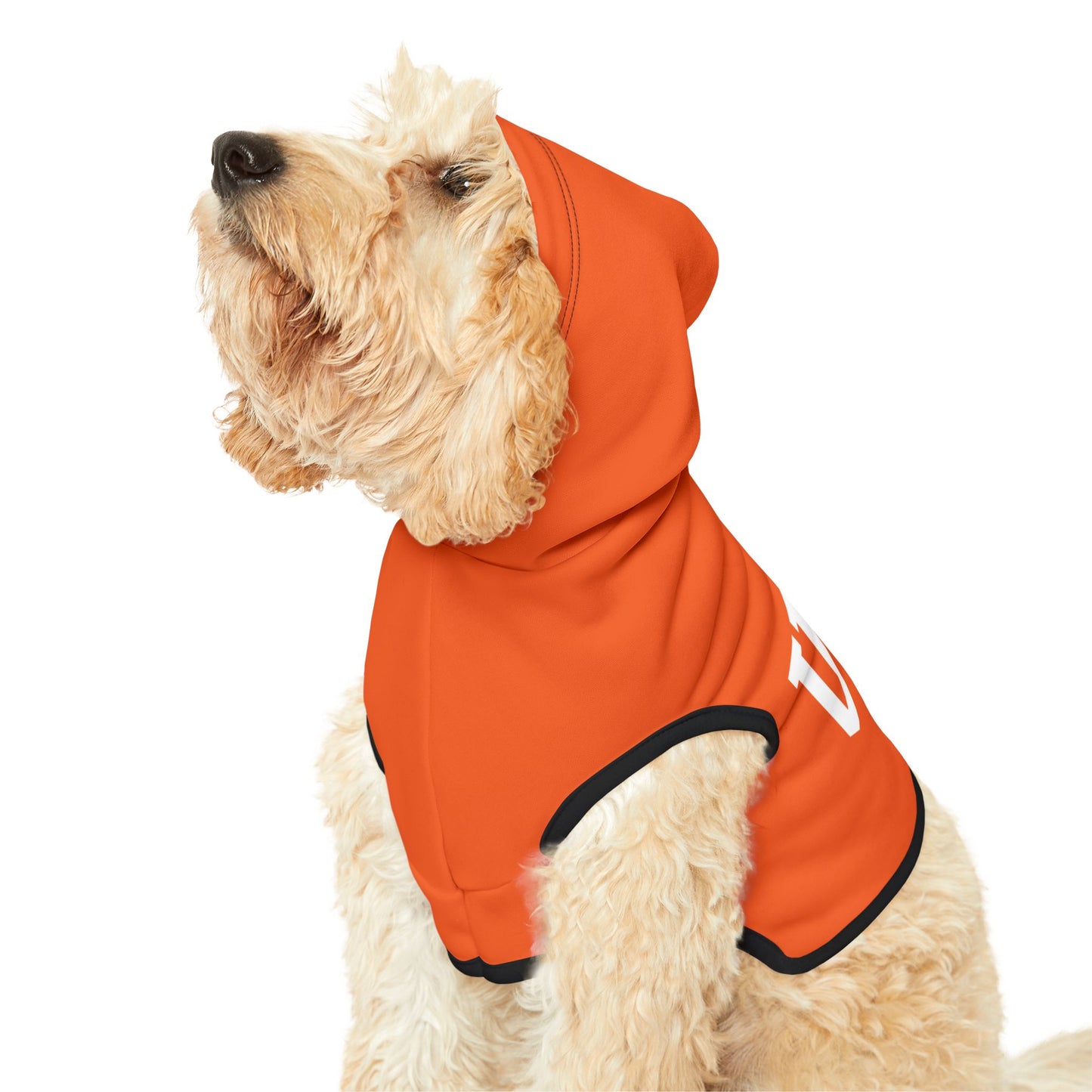 Princess Grace  TEAM USA  Pet Hoodie
