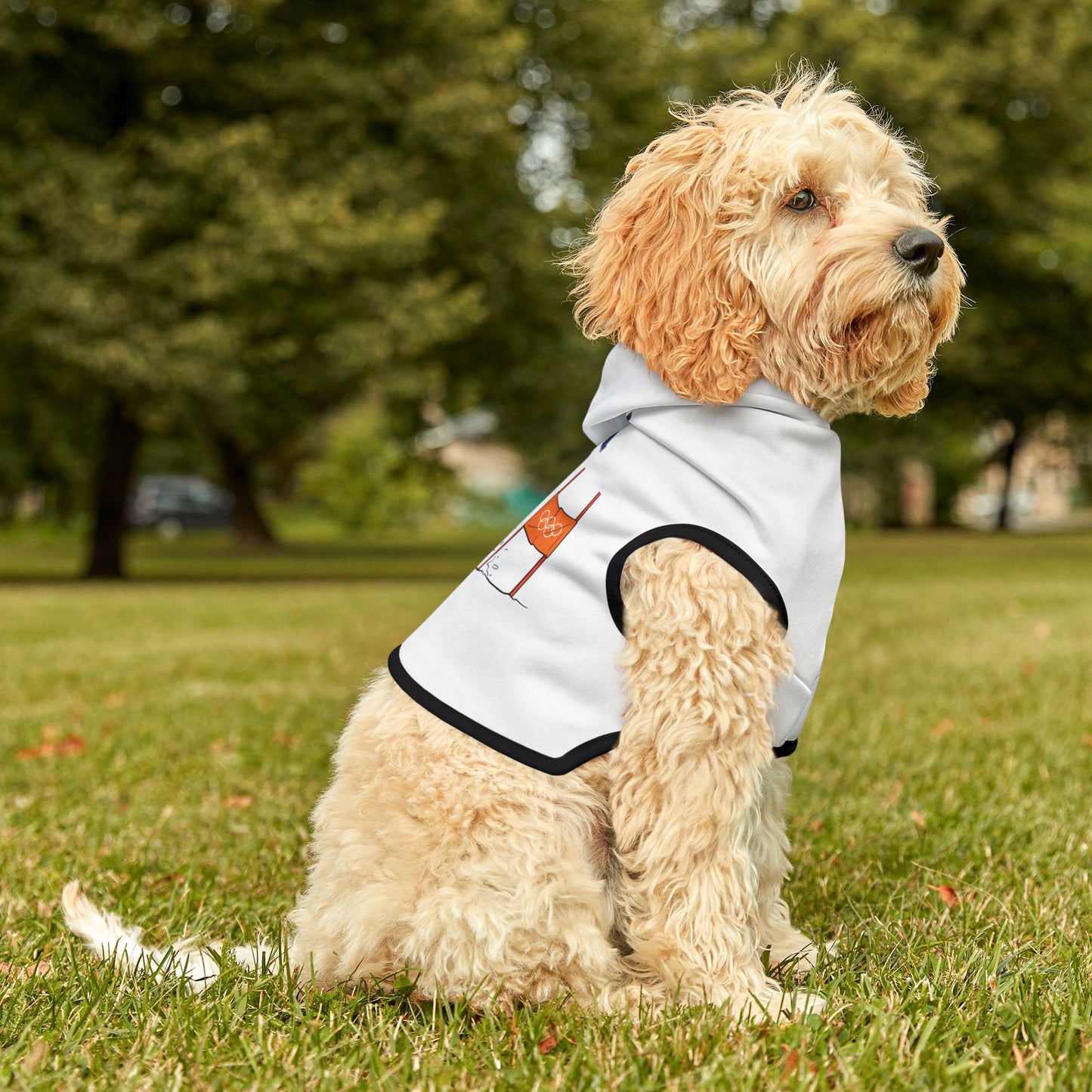 Princess Grace  TEAM USA  Pet Hoodie