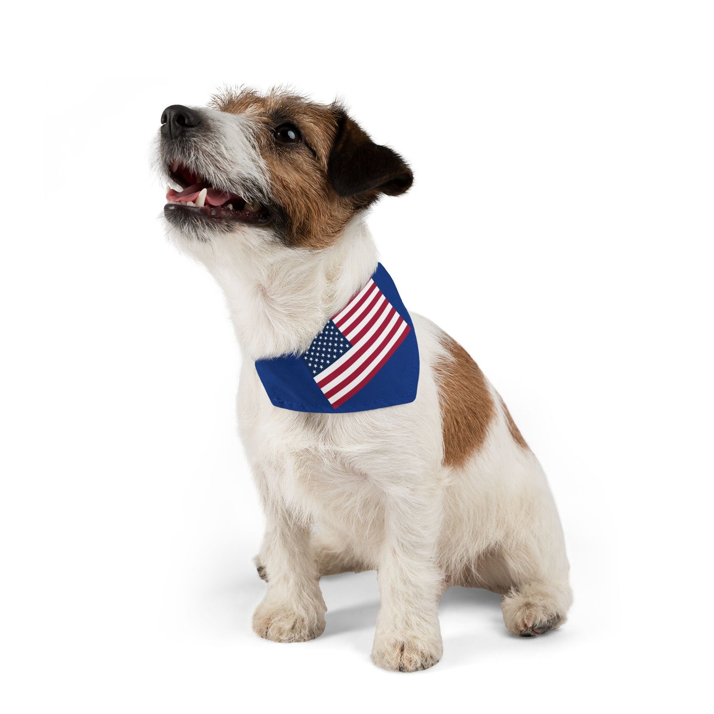 Princess Grace  Patriotic Pet Bandana Collar  American Flag Design for Dogs