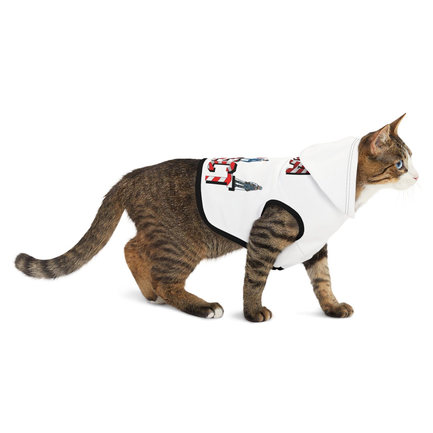Princess Grace  TEAM USA  Pet Hoodie