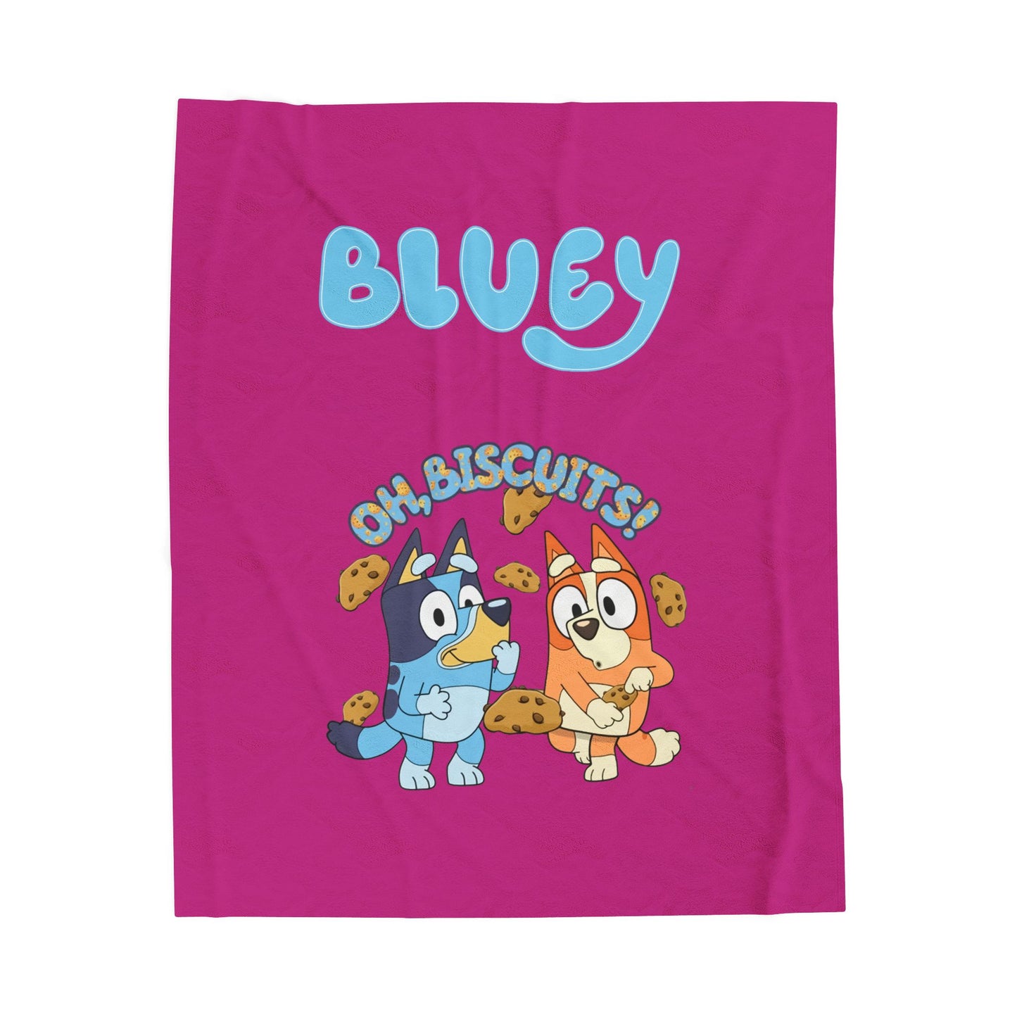 Princess Grace  Bluey Oh Biscuits  Velveteen Plush Blanket for Kids