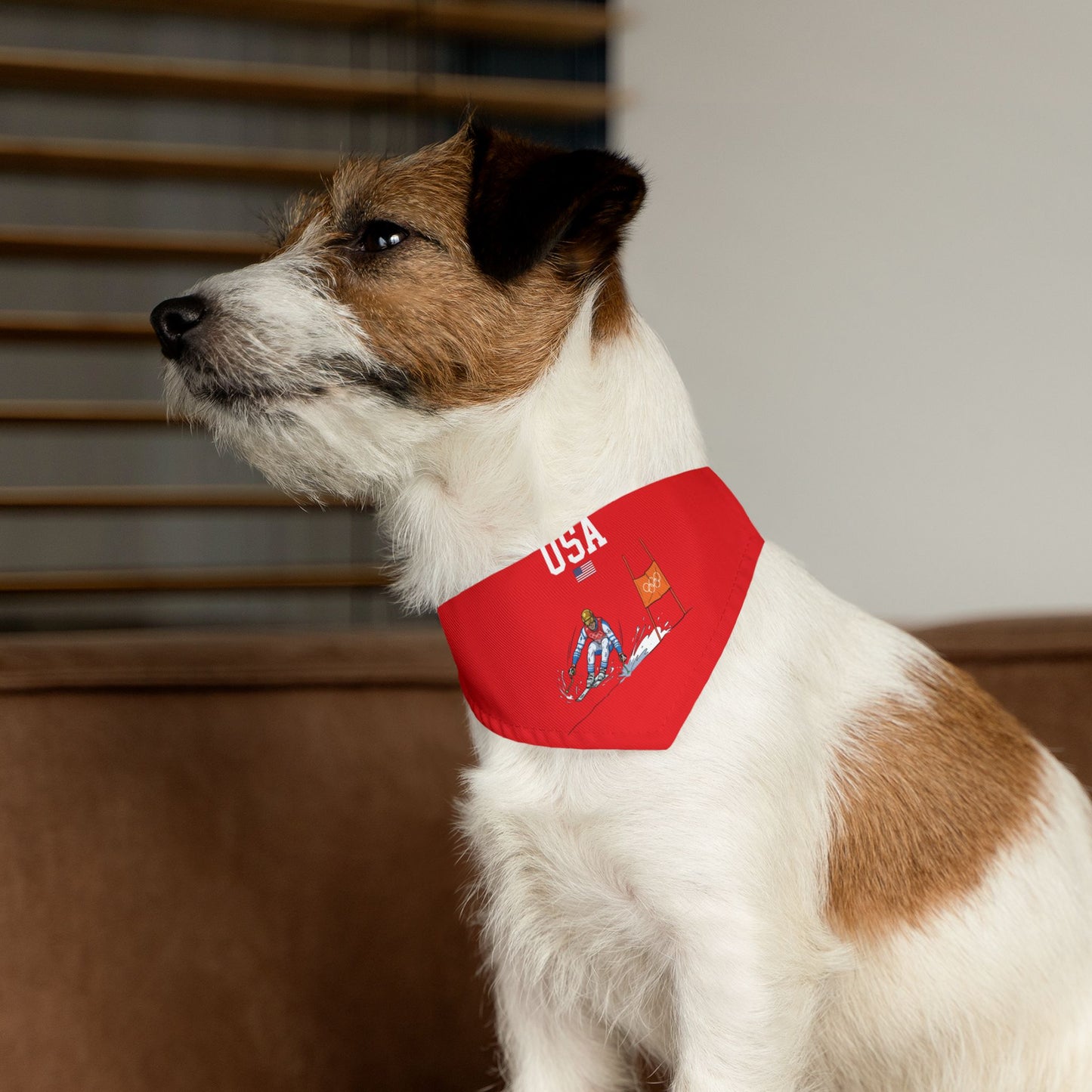 Princess Grace  TEAM USA  Pet Bandana Collar