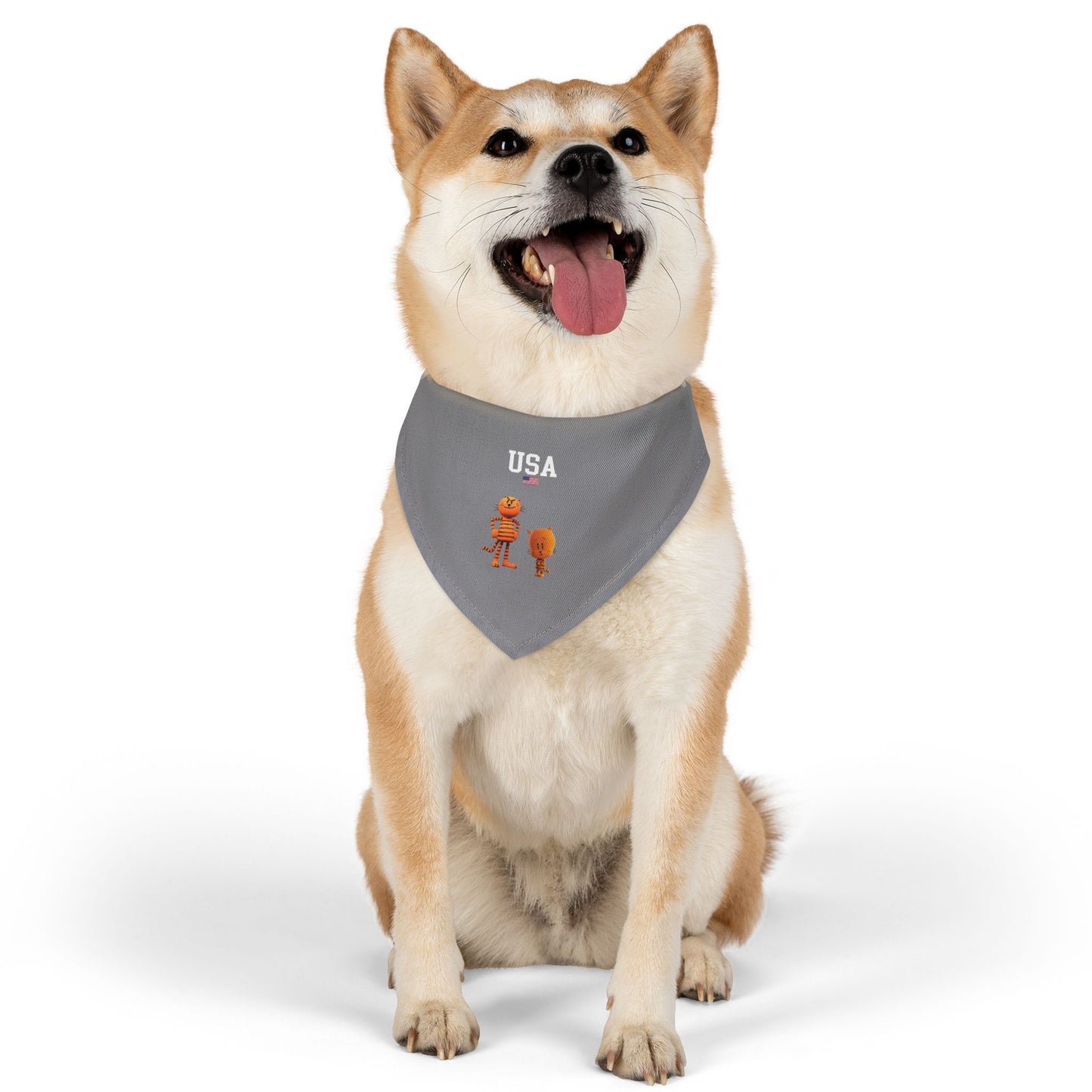 Princess Grace  TEAM USA  Pet Bandana Collar
