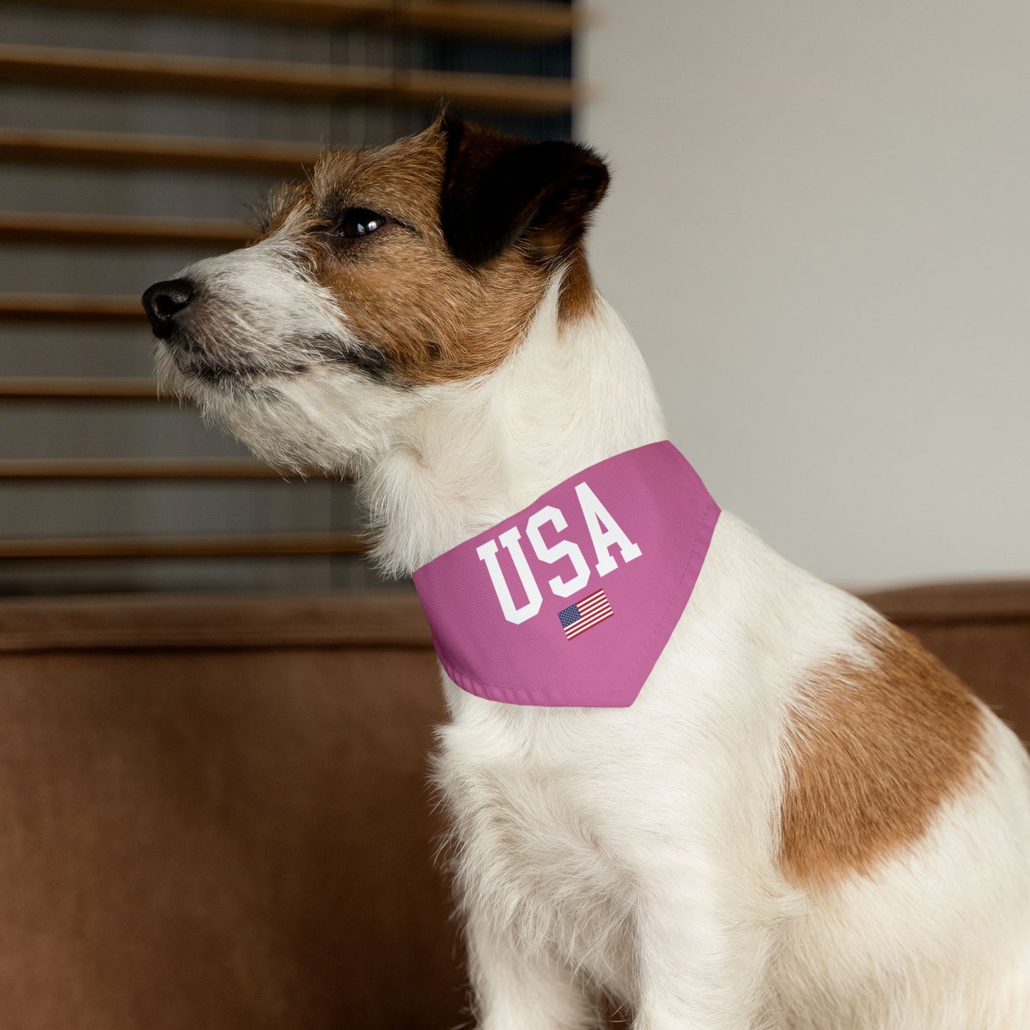 Princess Grace  TEAM USA  Pet Bandana Collar