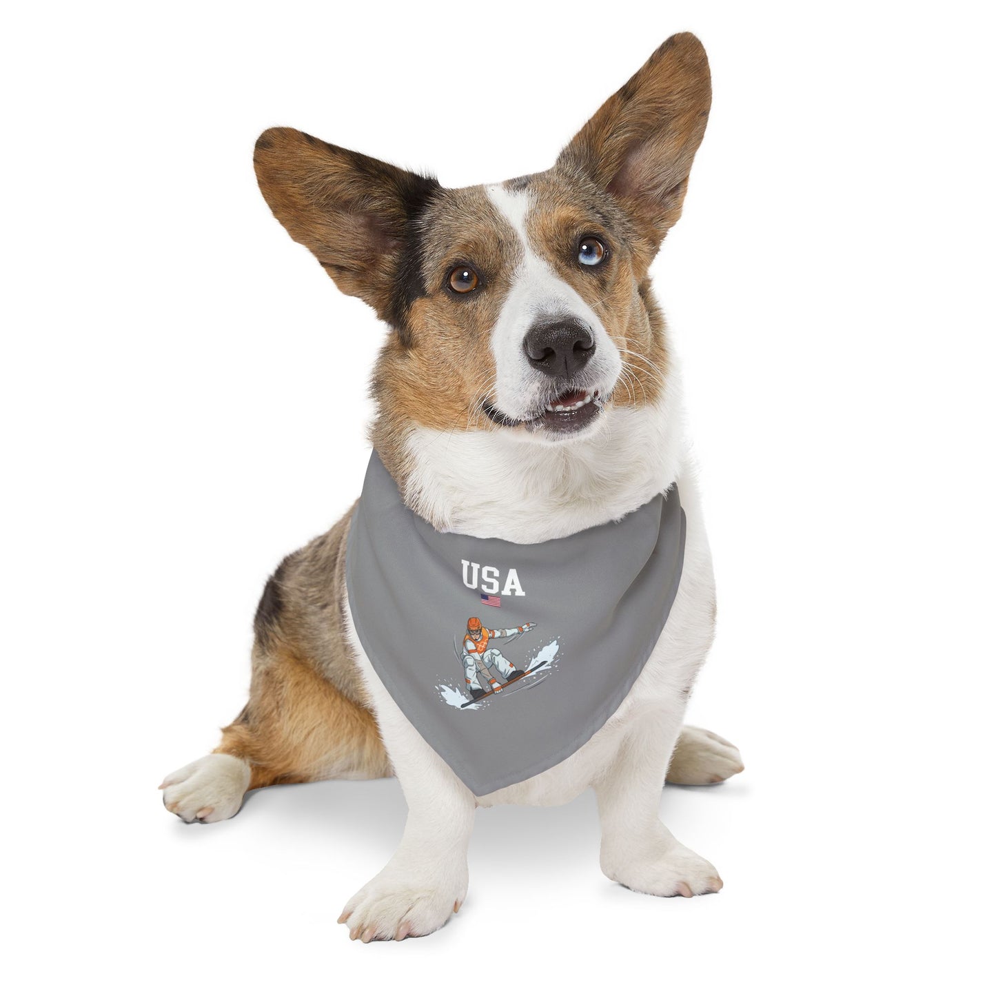 Princess Grace  TEAM USA  Pet Bandana Collar