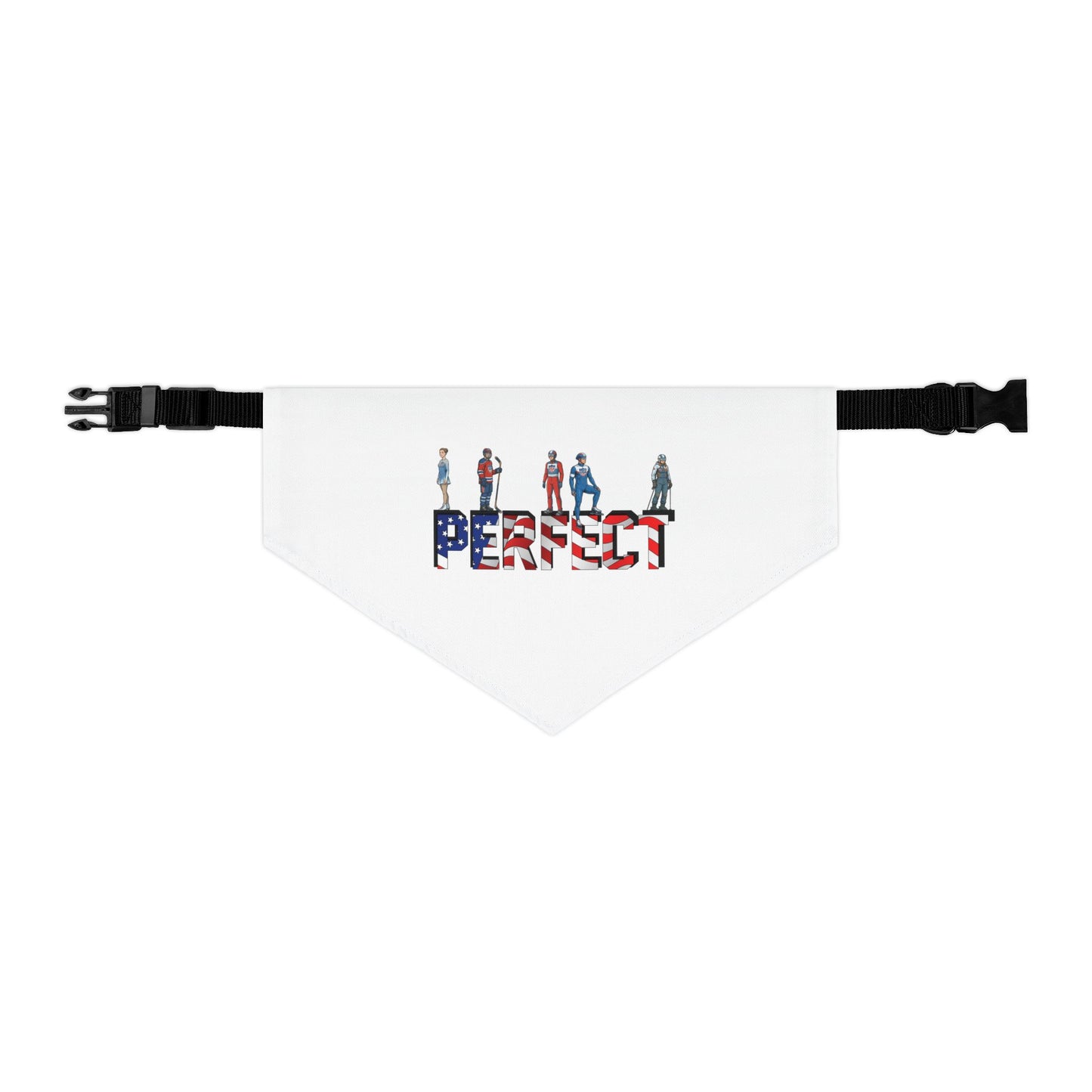 Princess Grace  TEAM USA  Pet Bandana Collar