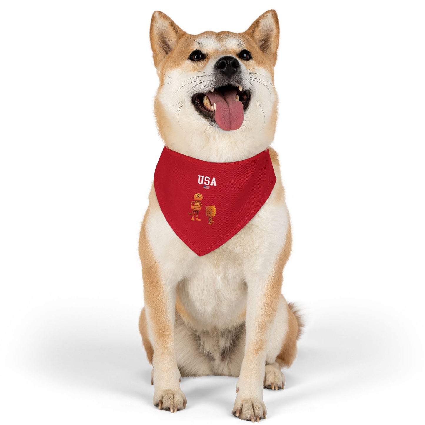 Princess Grace  TEAM USA Pet Bandana Collar