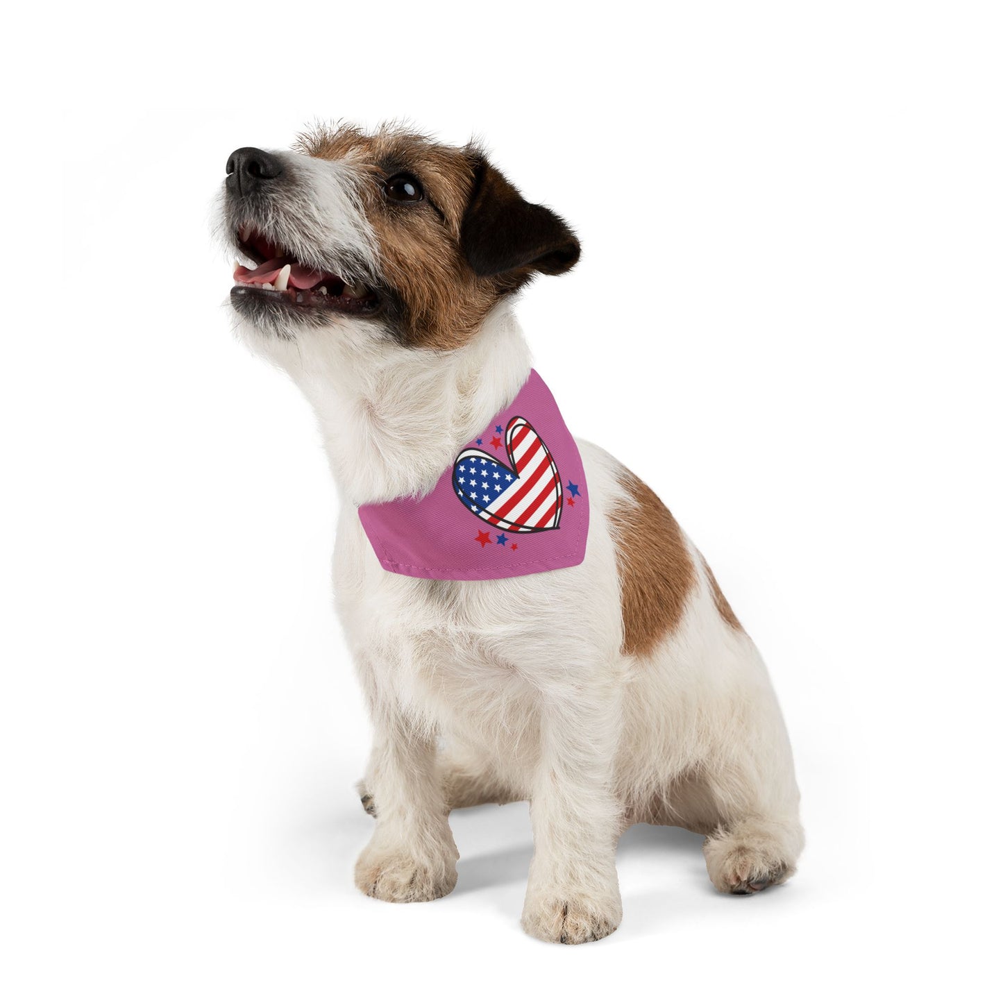 Princess Grace  Patriotic Pet Bandana Collar Heart and Stars Design for Dog Lovers