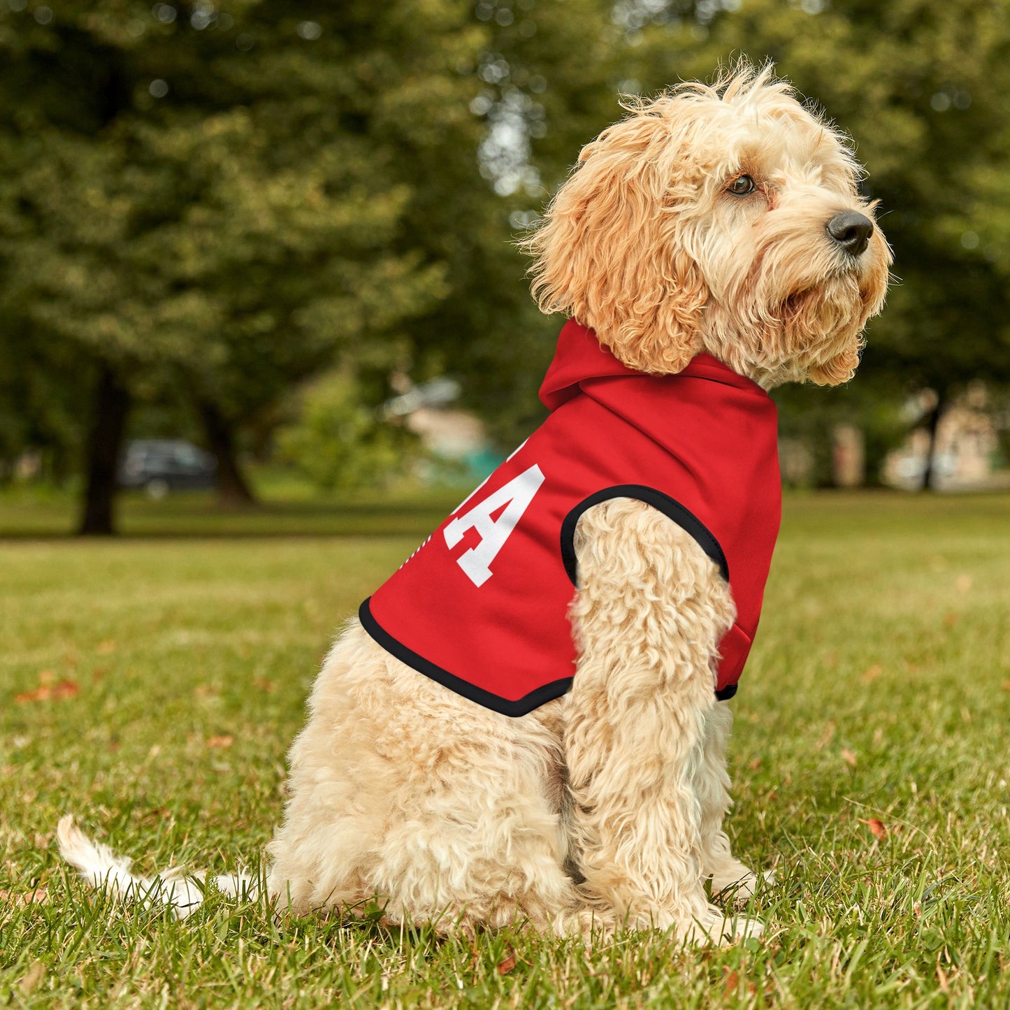 Princess Grace  TEAM USA  Pet Hoodie