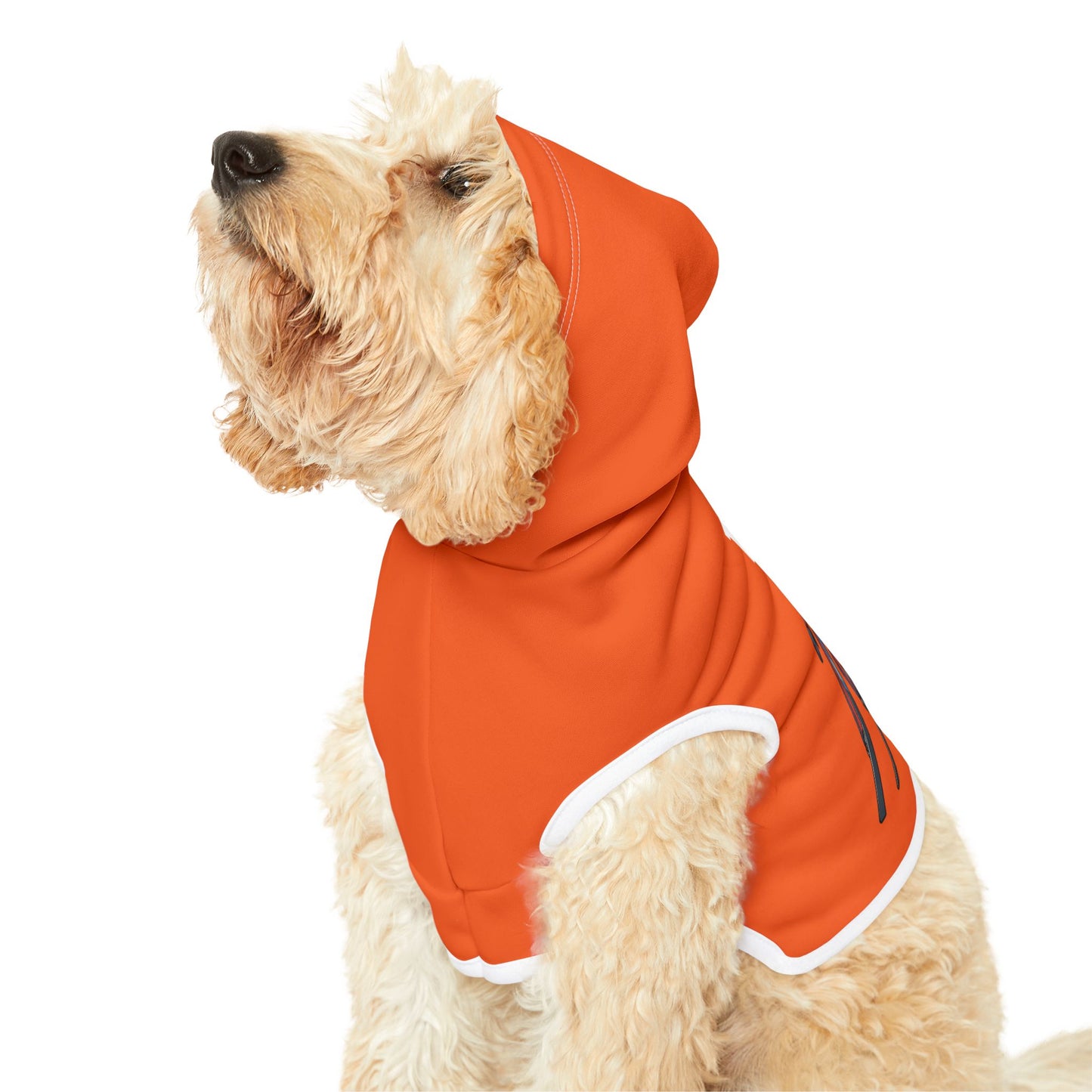 Princess Grace  TEAM USA  Pet Hoodie