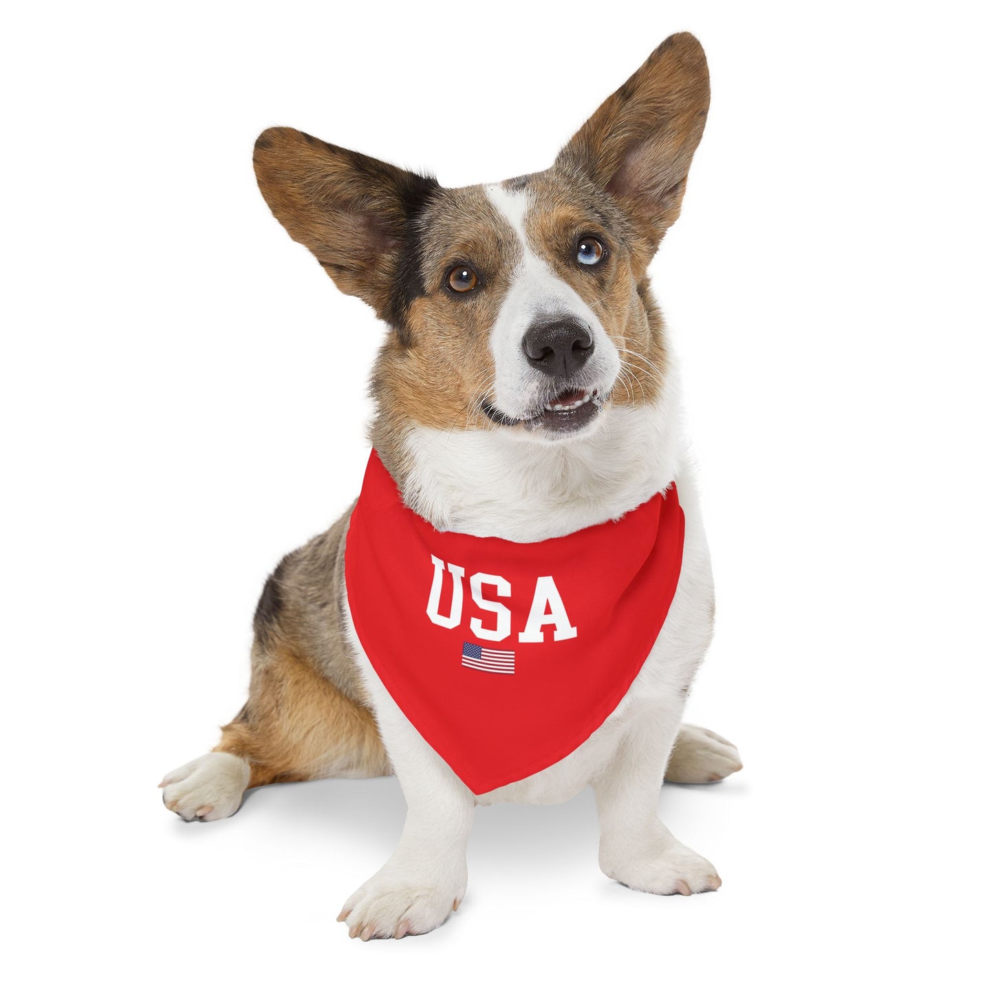 Princess Grace  TEAM USA  Pet Bandana Collar