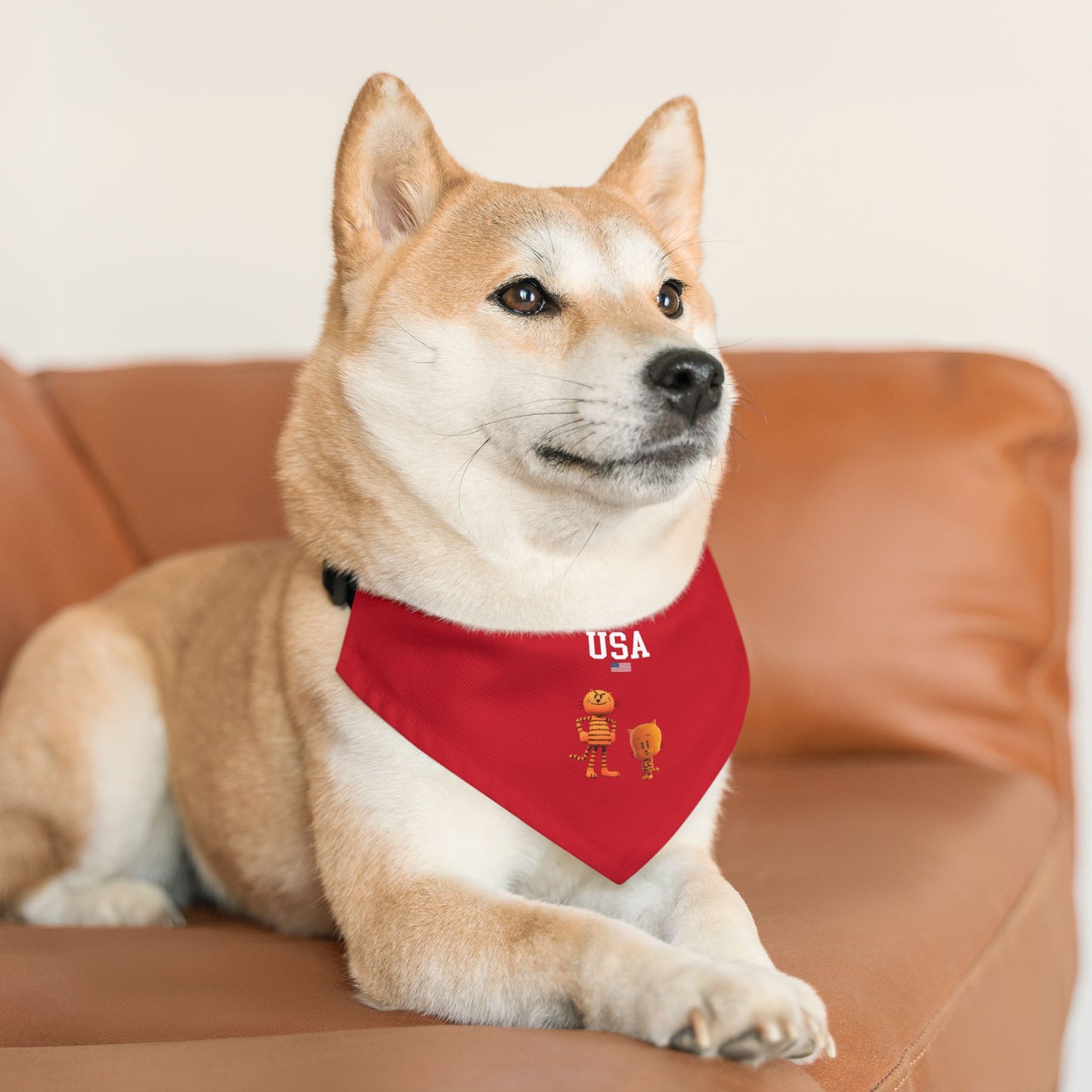 Princess Grace  TEAM USA Pet Bandana Collar