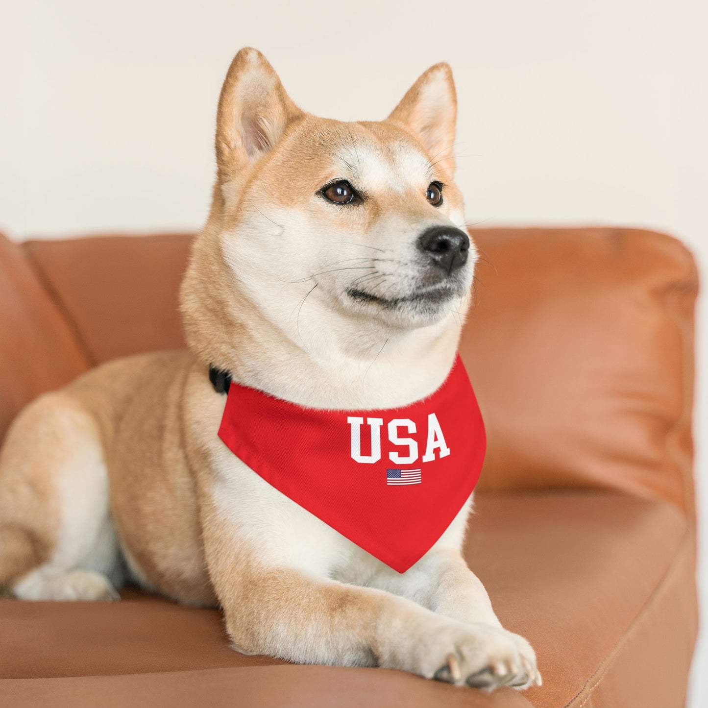 Princess Grace  TEAM USA  Pet Bandana Collar