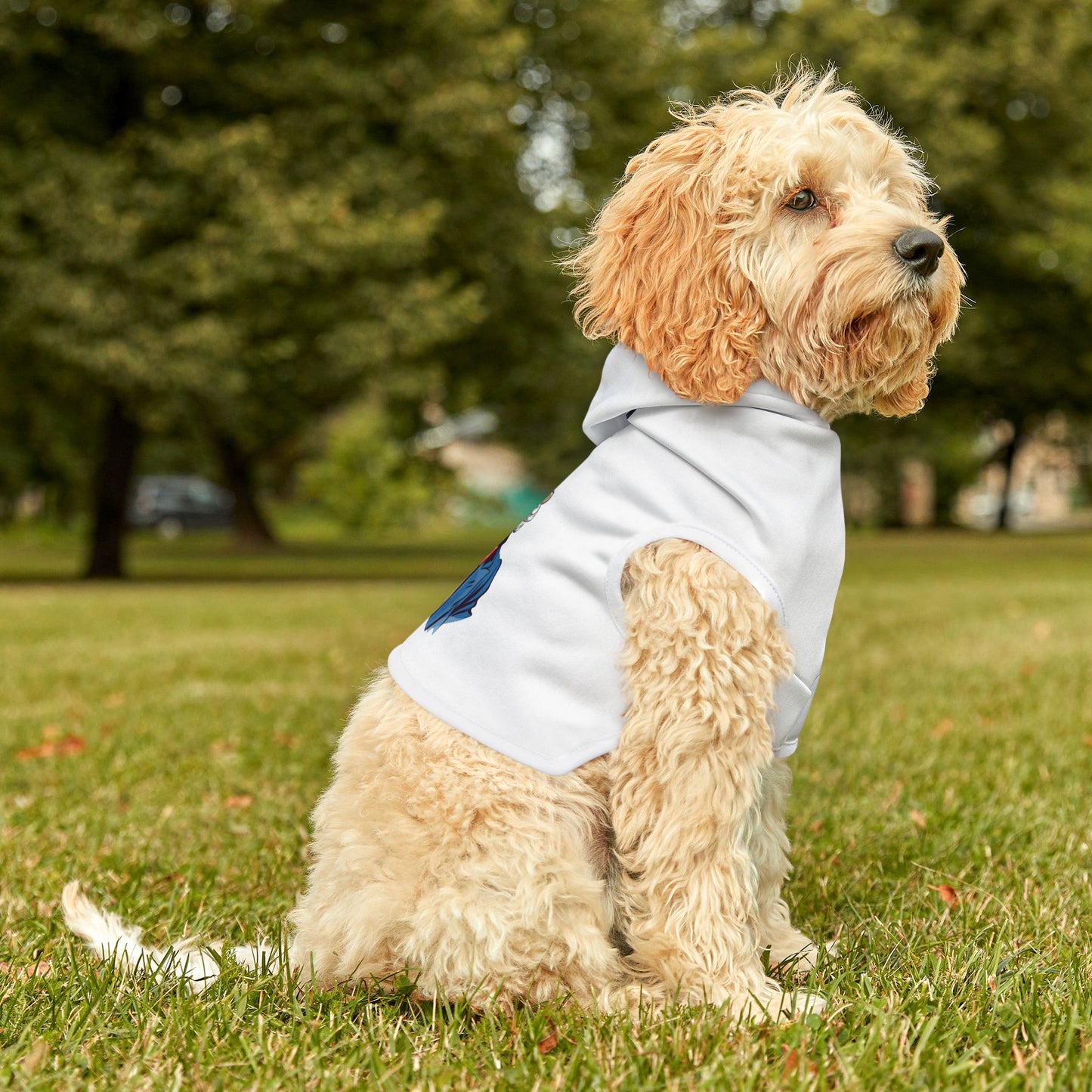 Princess Grace  TEAM USA  Pet Hoodie